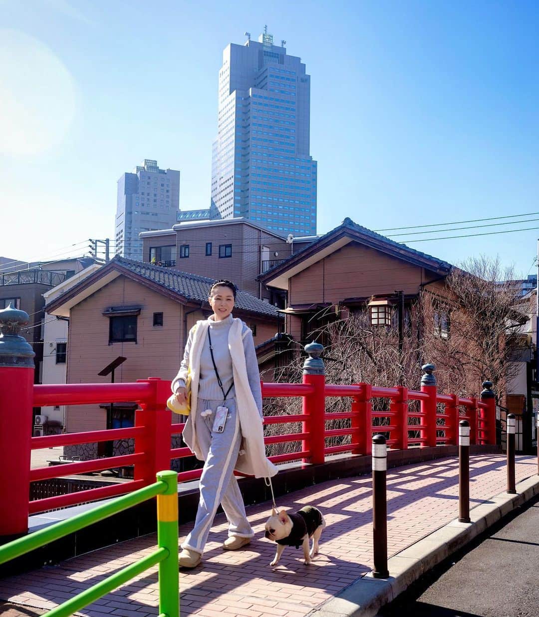 川原亜矢子のインスタグラム：「江戸風情を愉しむ #tokyo #japan #shrine #dog #frenchbulldog #江戸 #佃 #佃煮  #散歩 #フレンチブルドッグ #フレブル  #犬」