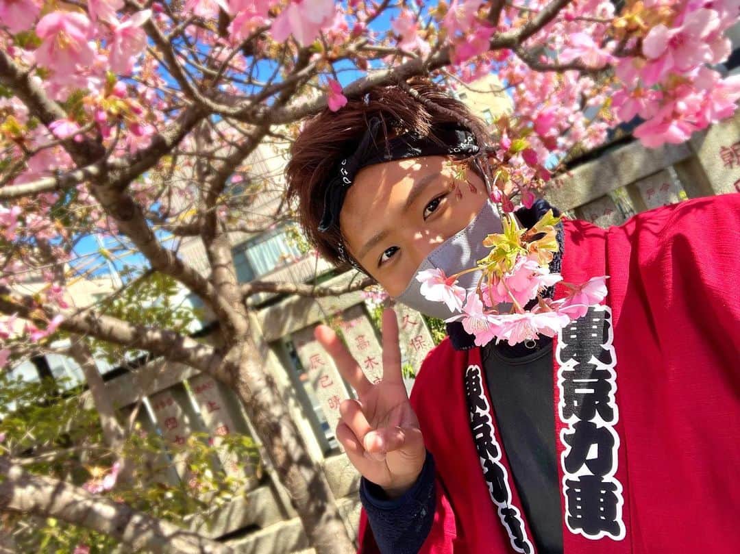 のインスタグラム：「〜3月かりんとう力車出勤予定日👶🏾🌸〜  お花見シーズンがやってきました✨ 浅草の桜、観光スポットご案内致します🙌 是非お待ちしております‼️  18日（土）× 20日（月）× 21日（火）× 22日（水）× 23日（木）× 24日（金）× 27日（月）× 30日（木）×  ⚠️ユニット活動で急な出勤予定の変更がある場合があります。 尚、出勤予定記載のものが相違がある場合がありますので予めご了承ください🙇‍♂️  シフト上で人力車で１週間を過ぎたご予約、またご不明点などは（090-2442-9082)に平日12:00〜17:00にご連絡頂きご相談くださいませ。電話が繋がらない場合は、追って折り返しご連絡させて頂きます。  人力車の予約方法はプロフィール欄をチェックしてねっ✅  #東京力車 #浅草 #人力車 #人力車のお兄さん #桜」