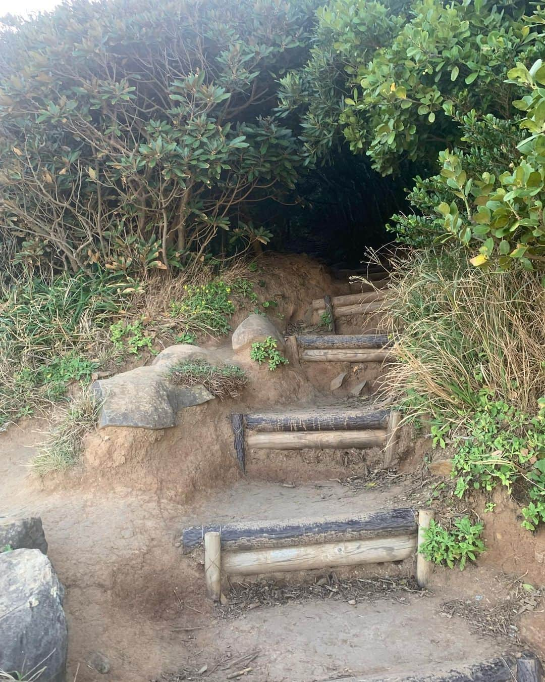 高野桃子さんのインスタグラム写真 - (高野桃子Instagram)「📍福岡県糸島の端っこ 芥屋の大戸公園にトトロの森！ザ・パワースポットって雰囲気ここ、ギリギリ夕方訪れたけど日が暮れたら怖いだろうな  #芥屋の大門 #芥屋の大門公園  #トトロの森　#モモトリップ」2月27日 1時10分 - takano_sd