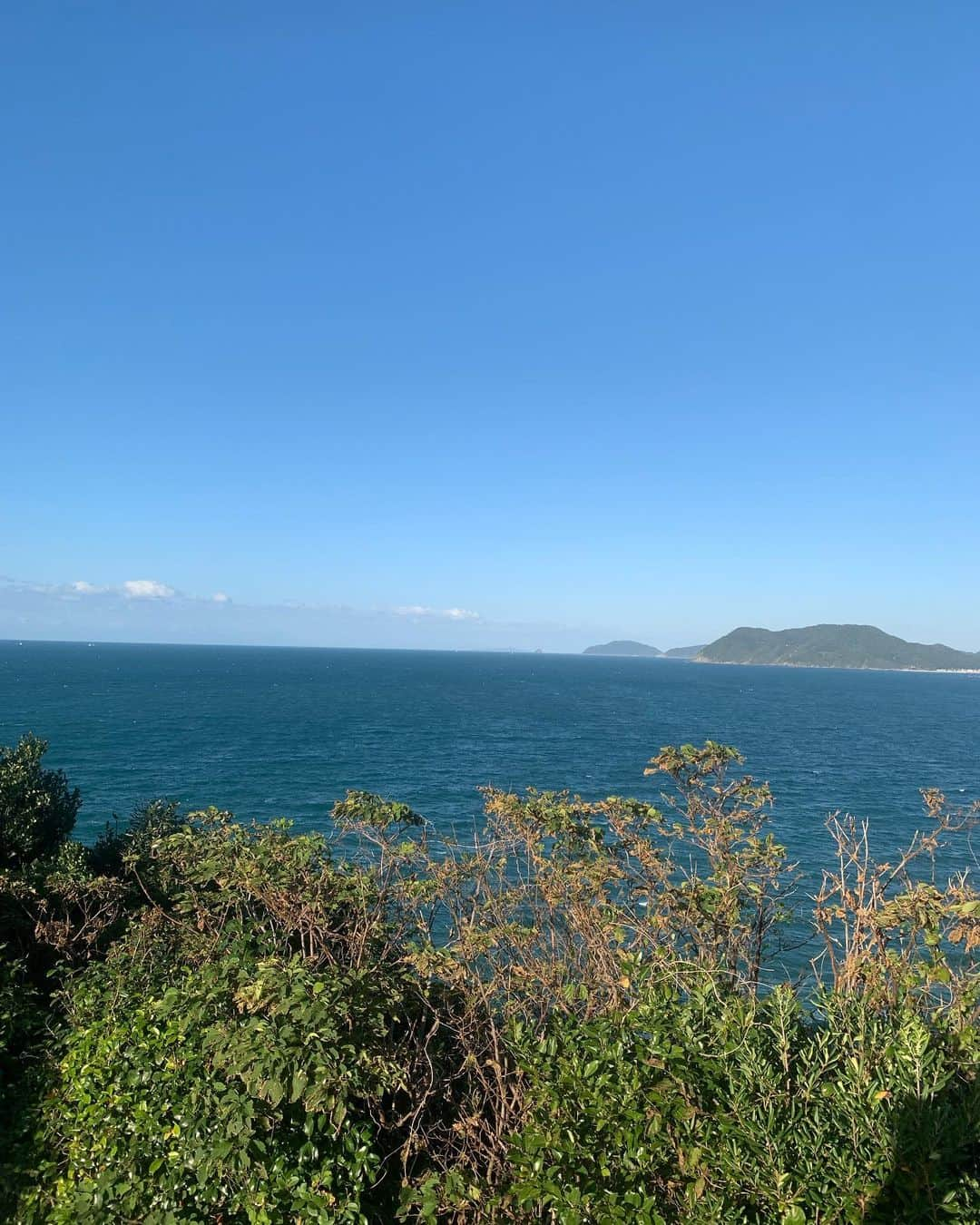 高野桃子さんのインスタグラム写真 - (高野桃子Instagram)「📍福岡県糸島の端っこ 芥屋の大戸公園にトトロの森！ザ・パワースポットって雰囲気ここ、ギリギリ夕方訪れたけど日が暮れたら怖いだろうな  #芥屋の大門 #芥屋の大門公園  #トトロの森　#モモトリップ」2月27日 1時10分 - takano_sd