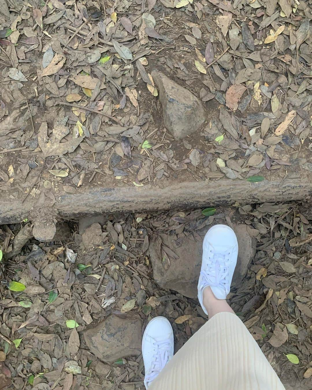 高野桃子さんのインスタグラム写真 - (高野桃子Instagram)「📍福岡県糸島の端っこ 芥屋の大戸公園にトトロの森！ザ・パワースポットって雰囲気ここ、ギリギリ夕方訪れたけど日が暮れたら怖いだろうな  #芥屋の大門 #芥屋の大門公園  #トトロの森　#モモトリップ」2月27日 1時10分 - takano_sd