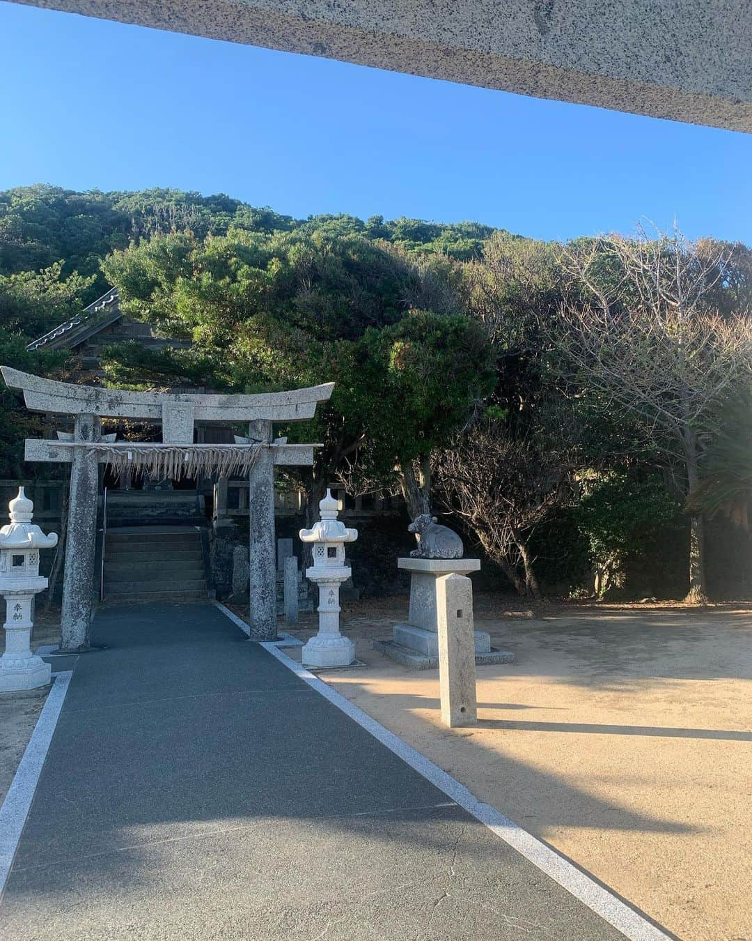 高野桃子さんのインスタグラム写真 - (高野桃子Instagram)「📍福岡県糸島の端っこ 芥屋の大戸公園にトトロの森！ザ・パワースポットって雰囲気ここ、ギリギリ夕方訪れたけど日が暮れたら怖いだろうな  #芥屋の大門 #芥屋の大門公園  #トトロの森　#モモトリップ」2月27日 1時10分 - takano_sd