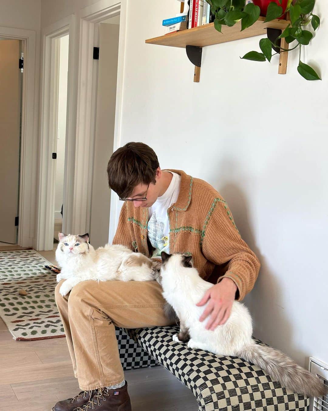 Arden Roseさんのインスタグラム写真 - (Arden RoseInstagram)「Happy birthday to the only man I’d ever want to coparent two cats with ☺️🍾💗」2月27日 3時58分 - ardenrose