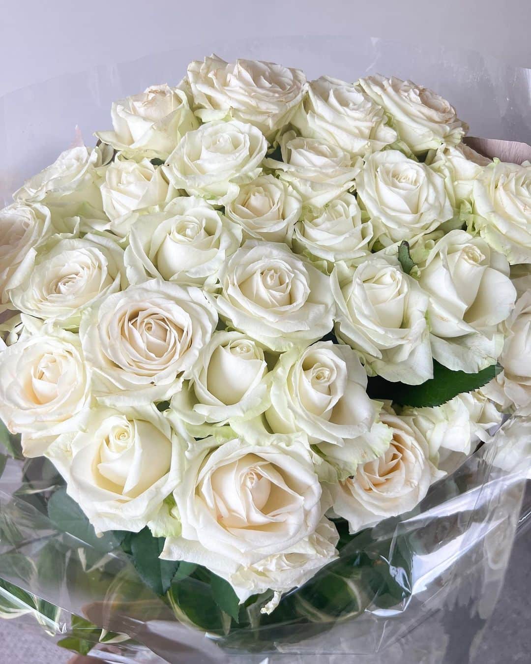 舞川あいくさんのインスタグラム写真 - (舞川あいくInstagram)「Good morning🤍🤍🤍  一番好きなお花😊  #whiterose #myhome」2月27日 14時24分 - aiku_0817__