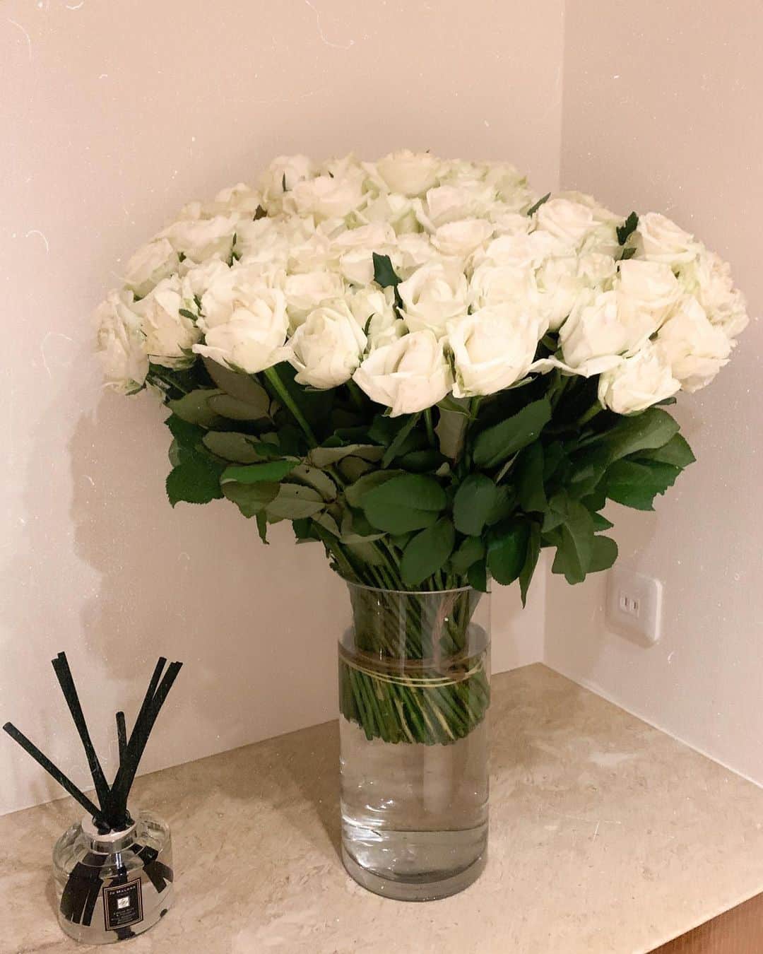 舞川あいくさんのインスタグラム写真 - (舞川あいくInstagram)「Good morning🤍🤍🤍  一番好きなお花😊  #whiterose #myhome」2月27日 14時24分 - aiku_0817__
