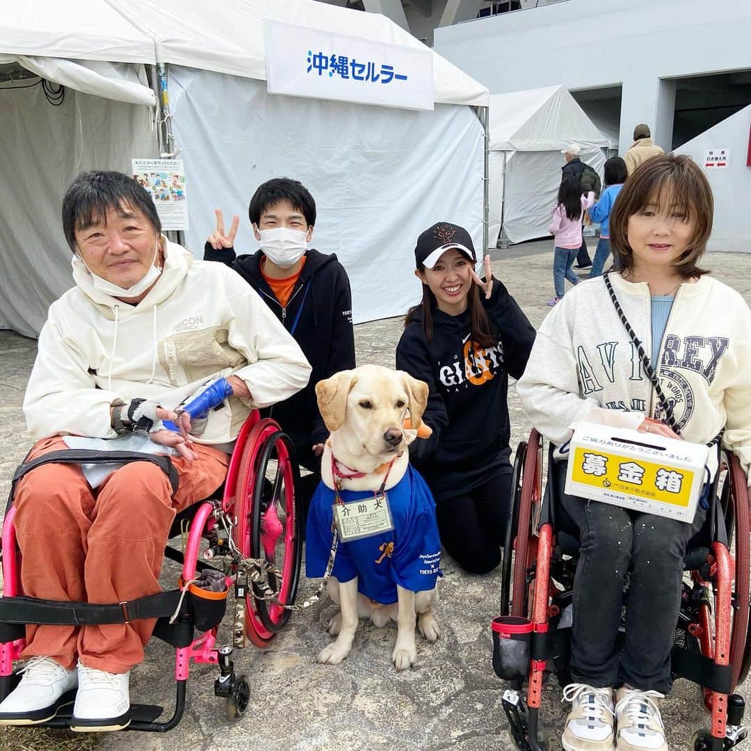 阿部智帆さんのインスタグラム写真 - (阿部智帆Instagram)「🧡 昨日の目標「VENUSとの写真を撮る」クリア🥰 キャンプを華やかに盛り上げくれました✨ 開幕後のパフォーマンスも楽しみです♡  同じく土日に来てくださった 日本介助犬協会のみなさん、介助犬のロイ君🦮💕 ありがとうございました😌  今日の目標 ファン事業部　加藤さんと写真を撮る😎 （イケメンすぎるから、もっと載せてくださいとフォロワーさんからリクエストが来ています😂）  任せて😏👍  #giants #那覇キャンプ」2月27日 7時54分 - chiho_abe829