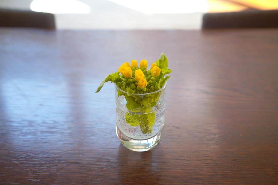 徳永有美さんのインスタグラム写真 - (徳永有美Instagram)「スーパーで買った菜の花。冷蔵庫に寝かしてる間に花が咲いていた。ここだけ飾る。可愛い。  今日は暖かい。花粉も大変だけど。 春が来るなぁとうれしくなる。」2月27日 8時15分 - yumi_tokunaga.official