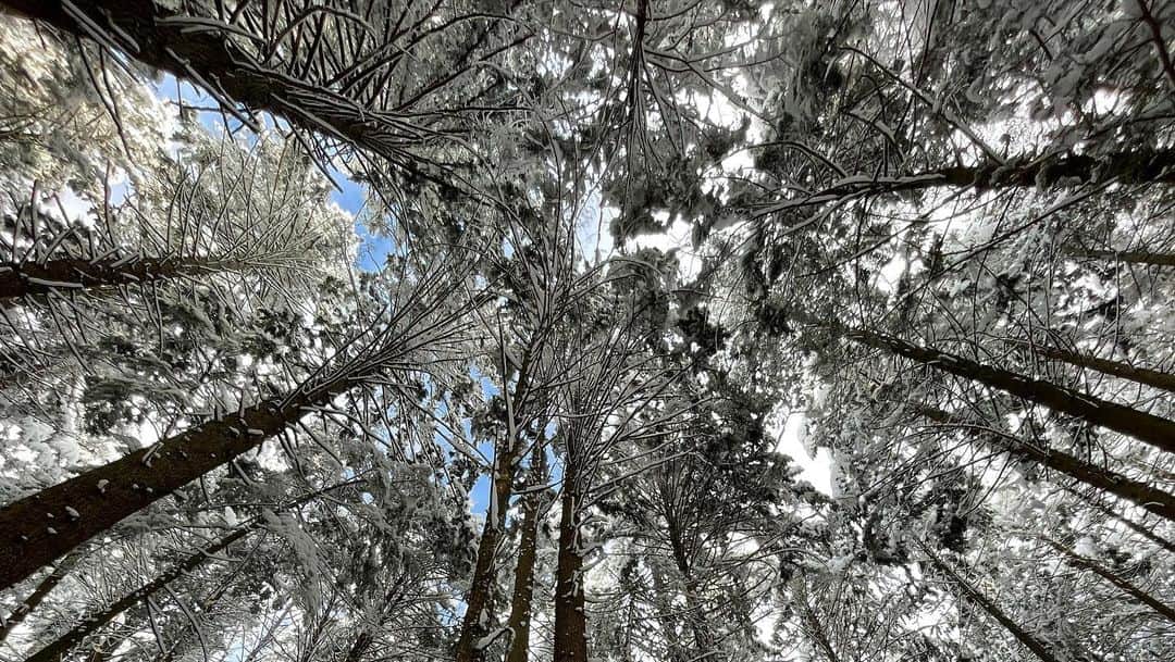 ジェニファー・ビールスさんのインスタグラム写真 - (ジェニファー・ビールスInstagram)「yes ok I turn into a 6yo when it snows.   #snowday #nature」2月27日 10時39分 - thejenniferbeals