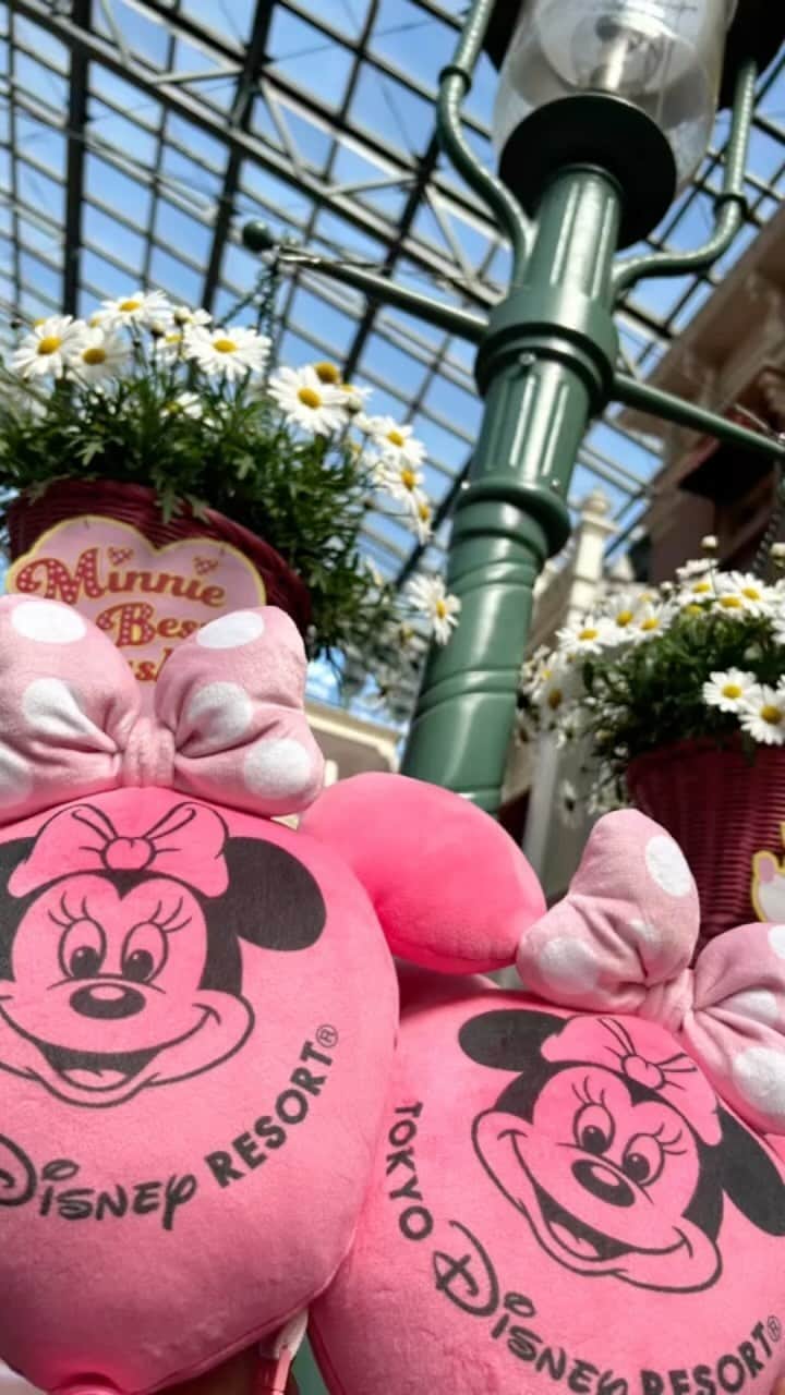 颯希有翔のインスタグラム：「大好きなざわさんと…1年半ぶりの再会🥺 お会いするのも一緒にディズニーへ行くのも久しぶりで😭待ち合わせの改札口でお会いした瞬間泣いちゃったり､ご飯食べながら熱く語り過ぎて泣く→笑うを繰り返していました🤣 沢山のhappinessをチャージ出来ました❤️ 楽しすぎたので初リール動画作ってみました✨ まだまだ写真が沢山あるのでまた載せますね☺️  #ディズニーランド #ディズニー  #宝塚歌劇団 #宝塚og #月組」
