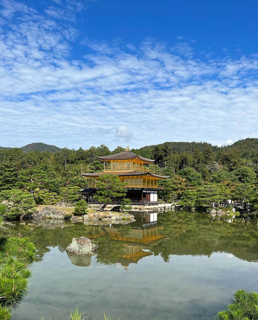 栄木明日香さんのインスタグラム写真 - (栄木明日香Instagram)「Kyoto delivers pure magic🎍」2月28日 0時05分 - liz_asuka__