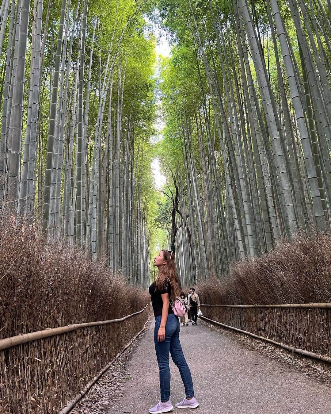 のインスタグラム：「Kyoto delivers pure magic🎍」