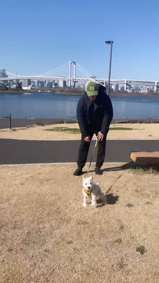 押尾学のインスタグラム：「Almost spring 🐶 #mansbestfriend」