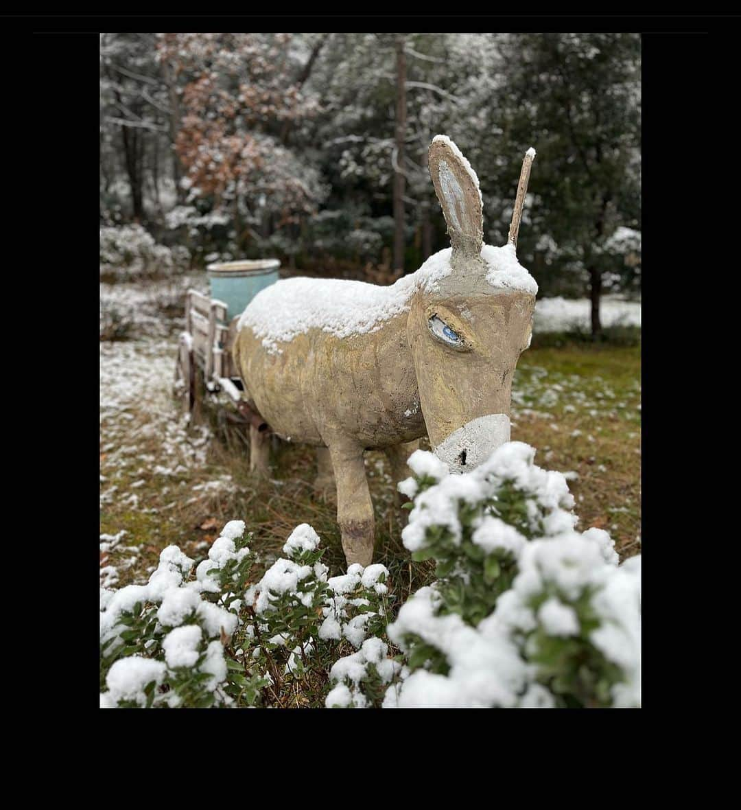 エマニュエル・ベアールのインスタグラム：「Tombe la neige … ❄️☃️🎼🎼🎼🎼🎼🎼🎼🎼」