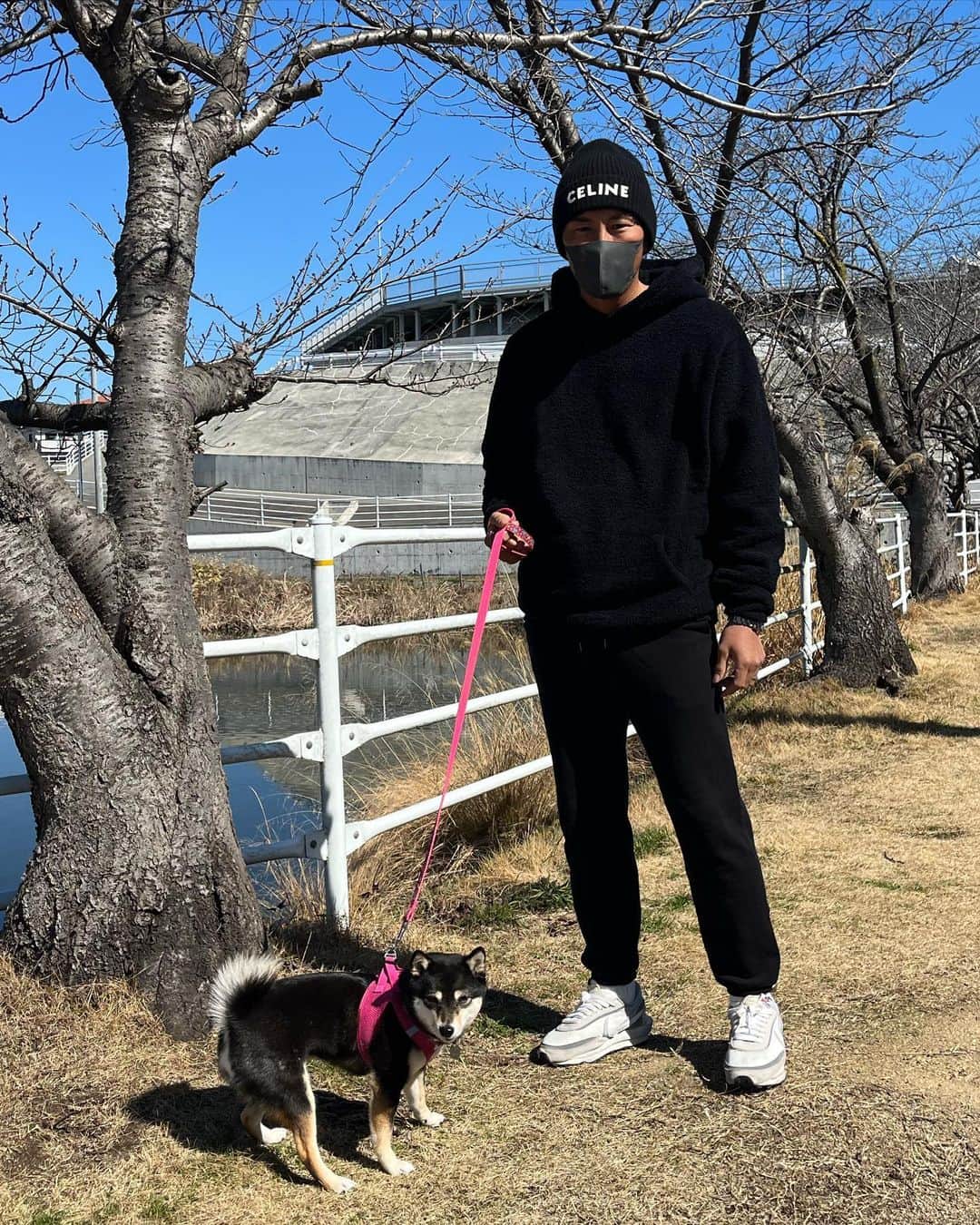 上田剛史さんのインスタグラム写真 - (上田剛史Instagram)「休日はユメと散歩🐕  #豆柴 #柴犬」2月27日 17時36分 - tsuyoshi50