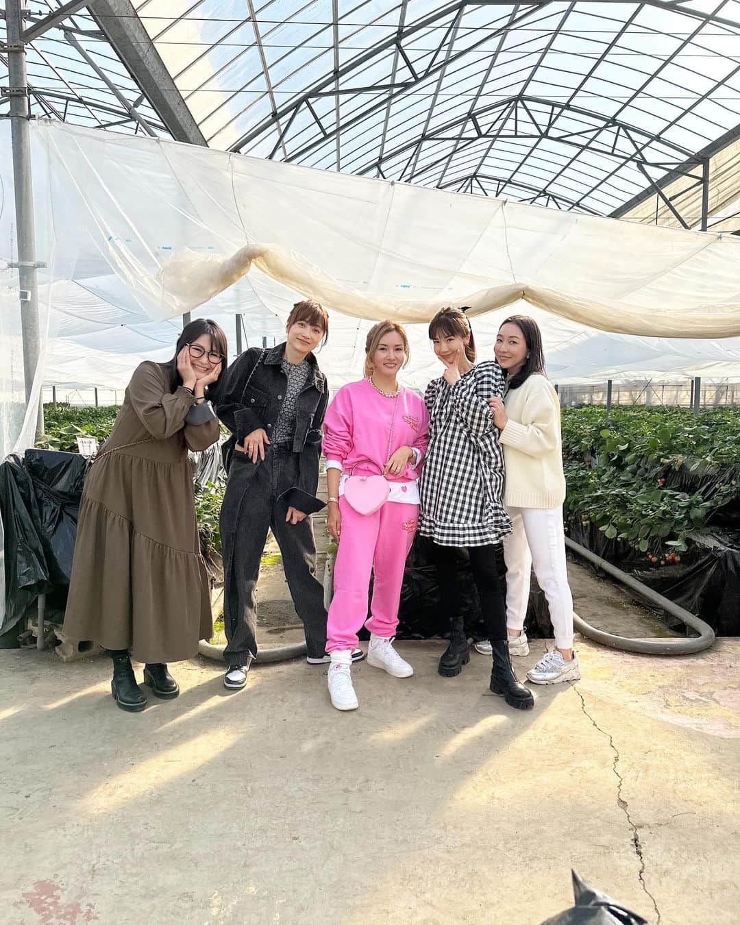 ギャル曽根のインスタグラム：「ほしのあきちゃん主催のいちご狩りツアーに参加させて頂きました🥹❤️❤️❤️ 苺が大好きな娘はもう前日から大はしゃぎ😂🍓 みんながお腹いっぱいになってる中最後まで食べました🍓🍓🍓 美味しかったー🤤🍓❤️✨ いろんな種類の苺があって食べ比べも楽しかったです😳🫶🏻 ちなみに、私はあきひめが1番だったかな🍓🫶🏻 いつ会っても変わらぬ可愛さのあきちゃんに、みんな綺麗すぎてちょっと緊張しました🤫✨✨✨ そして夜は、、、つづく。笑笑 #いちご狩り #つくばねファーム #🍓 #茨城」