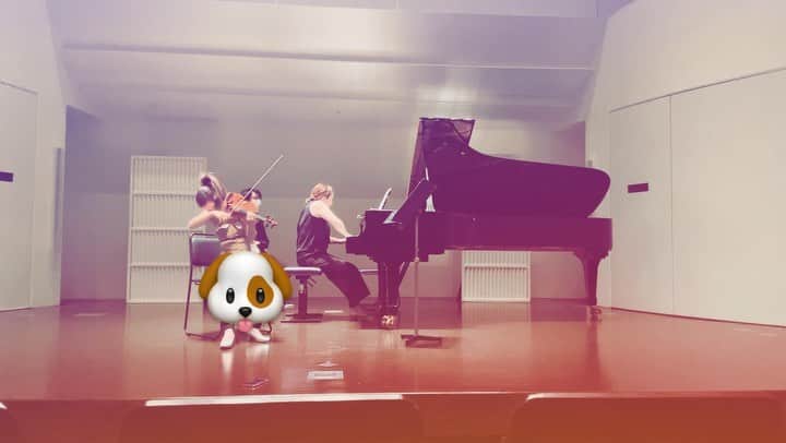 のインスタグラム：「ピアソラは毎回アドリブなので リハを見返すとあーこんなことしてたなあという感じです。 下半身がわりと開き気味だったのでポポに助けてもらいました。 いつもありがとう🐶 #piazolla #violin #ピアソラ」