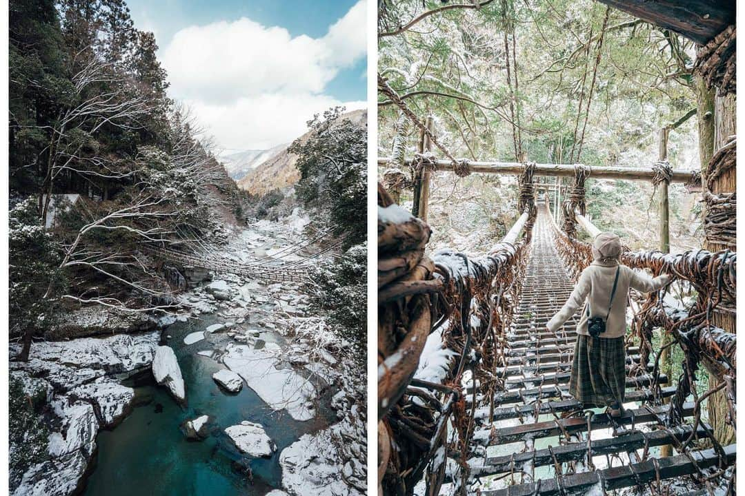 こんちゃんさんのインスタグラム写真 - (こんちゃんInstagram)「真冬の徳島⛄️ 徳島県は日本三大秘境といわれる祖谷へ。向かってる途中からすんごい雪深くなってきて、全然雪の降らない愛知県民の俺らは焦るのなんの！！笑 スタッドレスなんて普段履かないから「氷の上走れる！滑らない！すげぇ！！」って感動してた😂  これ大丈夫！？落ちんか！？！！？！ってびびりながら渡ったかずら橋も、雪が積もってるから手すり冷たいし、でも何か掴まんと落ちそうで怖いしでもう！冬に行く場所じゃない🙄  写真撮ってたらカメラ落としてマイク壊れるし、Googleマップで峠道案内されて雪山でスタックしてJAFさんにお世話になってしまうし、大変な1日だった…雪道は以後気をつけます(誓い) #とったび #祖谷」2月27日 21時28分 - hiromasakondo