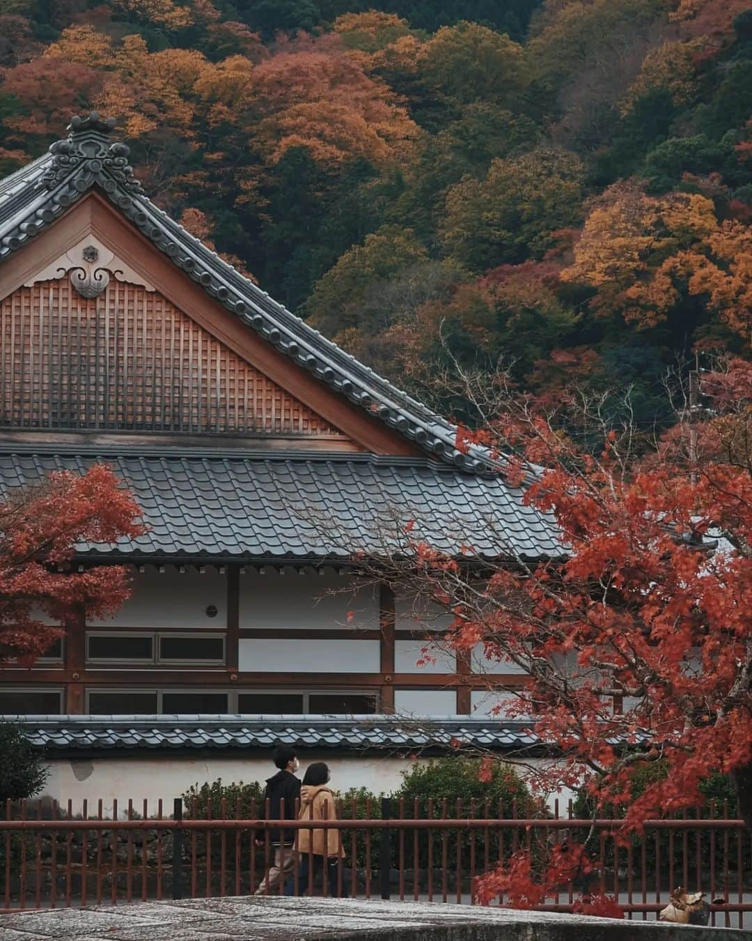 福田洋昭さんのインスタグラム写真 - (福田洋昭Instagram)「Kyoto is always a good idea #tb🍁 #TeamPixel #Pixelで撮影 #ad」2月27日 22時03分 - hirozzzz