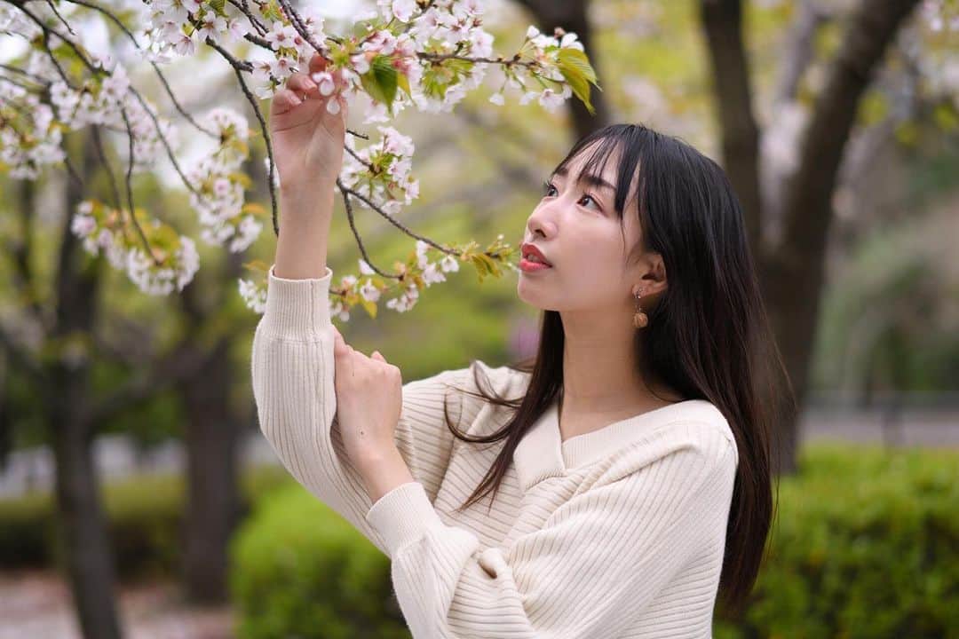 奈良歩実のインスタグラム：「桜待ち🌸」