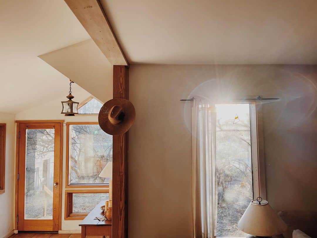 Kate Oliverのインスタグラム：「Catching light (and glimpses of spring) at home.」