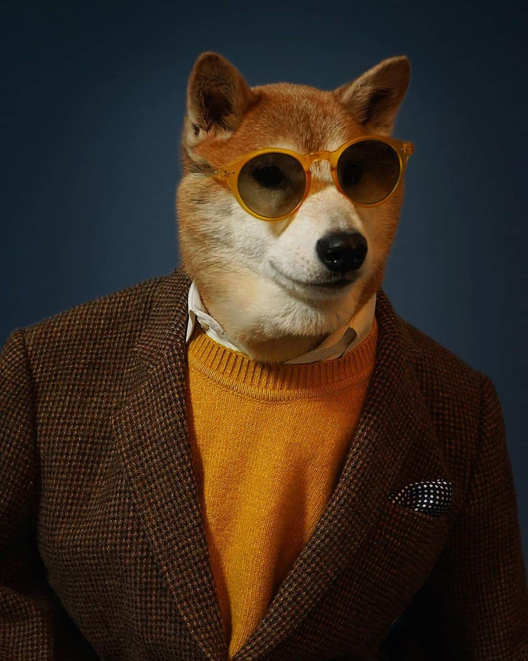 Menswear Dogさんのインスタグラム写真 - (Menswear DogInstagram)「S’cuse me, one more serious question: is it a sunnies day or a hatto day?  Pls advise 👇」2月28日 6時05分 - mensweardog