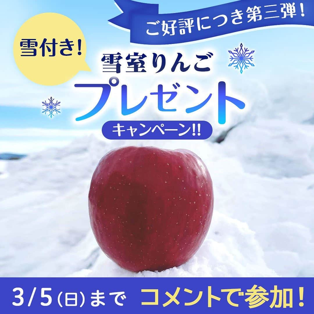 らでぃっしゅぼーやのインスタグラム：「\大好評企画第三弾！/ 雪付き❄️雪室りんごプレゼントキャンペーン🍎  雪の中で貯蔵され、みずみずしさと甘さが増した雪室りんご🍎 なんと、りんごの産地青森に積もった真っ白な雪❄️と一緒に10名様にプレゼントいたします！  この企画は、青森県のりんご農家、斉藤篤寿（さいとうあつし）さんの粋な計らいによって実現しました。  「農家にとっては当たり前になっている雪の中で私たちは生活しておりますが、コロナ禍で遠出できず雪で遊べないお子様がいると伺いました。りんごと一緒にお届けする雪で、雪だるまでも小さなかまくらでも好きに作っていただき、自由な発想で楽しんでいただけたら嬉しいです！」  おいしいりんごを頬張りながら、大人も子どもも”小さなスノーレジャー”を体験してみませんか？  ＜参加方法＞⁣ ・らでぃっしゅぼーや公式アカウント（@radishboya1988）をフォロー ・本投稿に、キャンペーン参加への意気込みをコメント （生産者さんへの応援コメントもぜひお願いします！） ※ストーリーズ投稿は含みません。 ※らでぃっしゅぼーや会員様でなくても参加可能です。  ＜募集期間＞⁣ 2/28(火)～3/5(日) ⁣ ＜賞品＞⁣ 雪室りんご6個（雪付き！）  ＜当選者数＞⁣ 10名様 ⁣ ＜当選者様へのご連絡＞⁣ 当選者の⽅には2023年3月6⽇(月)頃に Instagram上のDMにてご連絡致します。⁣ DMを受け取れる設定への変更をお願いいたします。⁣  ＜ご注意＞⁣ ＊同一の応募者様から複数アカウントを使用しての応募を確認した場合、1アカウントの応募のみを有効とみなし、それ以外の応募は無効といたします。⁣ ＊選考時に、アカウントフォローの状態を維持いただいていることが確認できない場合、キャンペーンの対象から外れることがあります。 ＊本キャンペーンは予告なく中止または変更させていただく場合がございます。⁣ ＊応募受付の確認・選考方法・当選・落選・配送時の事故や破損等についてのご質問、お問い合わせは受け付けておりません。⁠⁣ ＊日本国外にお住まいの方に対しては、当選しても配送できません。国内にお住まいのフォロワー様限定のキャンペーンです。⁣ ＊未成年者の方は、親権者に同意いただいたものとみなします。 ＊再選考は行いません。⁣ ＊アカウントを非公開設定にしている場合はキャンペーン対象外となります。⁣ ＊下記に当てはまる場合、ご当選の資格は無効となります。⁣ ・応募に際し、不正行為があったと当社が判断した場合⁣ ・通信環境の良くない状態にありDMが不着となった場合⁣ ・ご当選通知のDMに対し返信期限までに手続きを履行いただけない場合⁣ ・登録内容に不備があった場合⁣ ・住所/転居先不明または長期不在などにより、賞品がお届けできなかった場合⁣ ＊賞品の返品・交換・配送業者より弊社に返品されてからの再配送、はできませんのでご了承くださいませ。⁣ ＊賞品発送後の賞品による損害等の責任については、弊社は一切負いかねます。予めご了承ください。⁣ ＊賞品の転売は禁止させていただきます。⁣ ＊賞品のお届けは2022年3月中旬を予定しております。⁣ ＊やむを得ない事情などにより、賞品の発送時期は変更となる場合がございます。⁣ ＊本キャンペーン参加にあたって生じるインターネット接続料や通信料、ご当選通知メールに記載の手続を履践するにあたって生じる諸費用は、ご本人様の負担となります。  #らでぃっしゅぼーや #雪室りんごプレゼント #有機野菜 #野菜宅配 #農家さん応援 #農家応援 #農家さんありがとう #生産者さんありがとう #雪室りんご #雪室 #青森 #津軽産直組合 #りんご #雪 #雪だるま #雪だるま作ろう #雪遊び #プレゼント企画 #懸賞 #キャンペーン #キャンペーン企画 #懸賞好きさんと繋がりたい #懸賞情報 #懸賞企画 #キャンペーン開催中 #キャンペーン情報 #キャンペーン実施 #キャンペーン中 #プレゼントキャンペーン #プレゼントキャンペーン実施中」