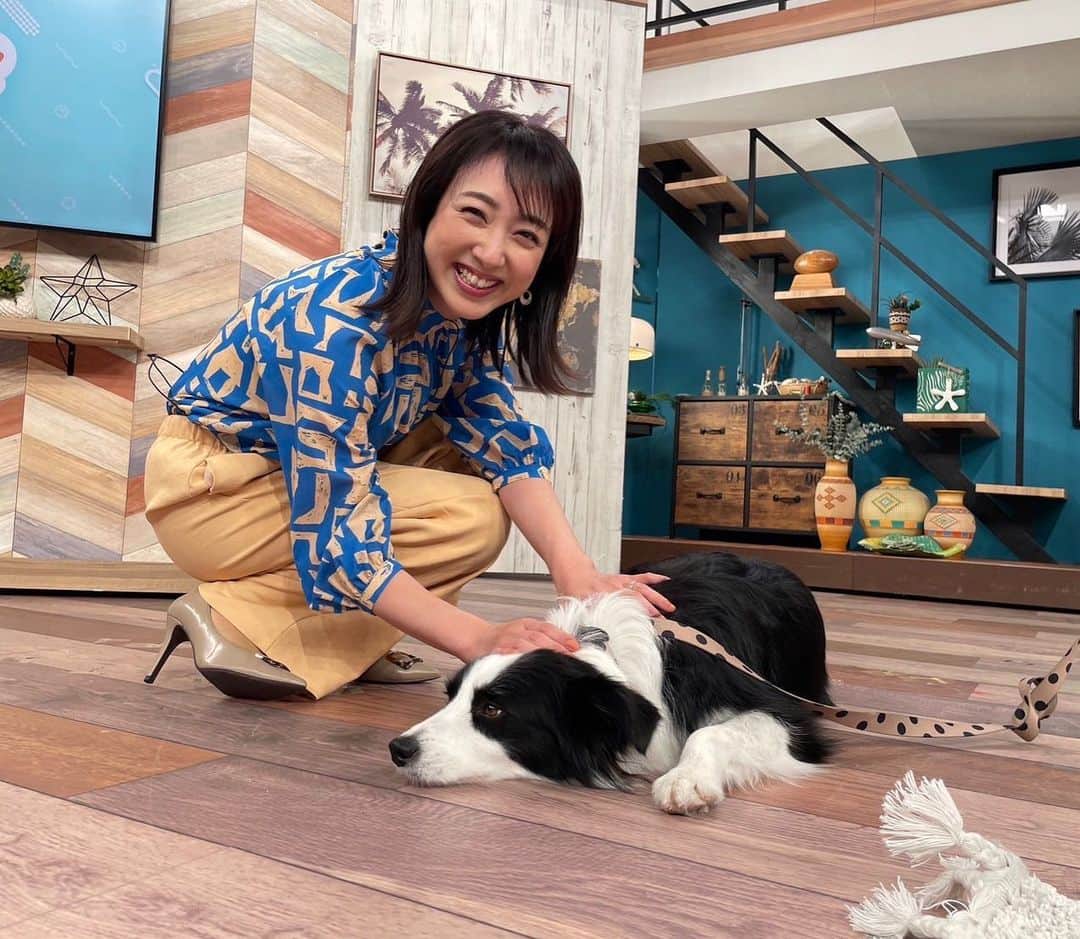 川田裕美のインスタグラム：「『スローでイージーなルーティーンで』の看板犬テスに初めて会えました😘 怖がらずに近寄ってくれて、ぺたんと寝そべって… 可愛すぎる💛また会いたいな🥰  #スロイジ #テス」