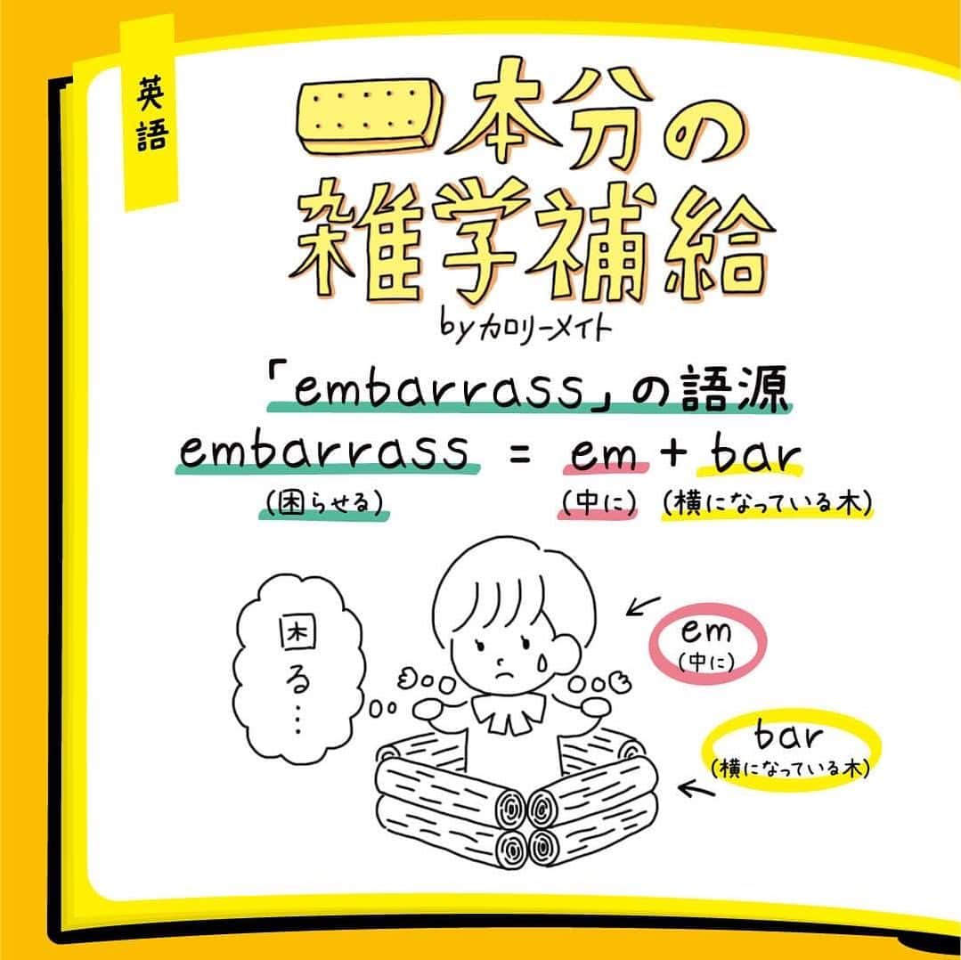 カロリーメイト@勉強垢のインスタグラム