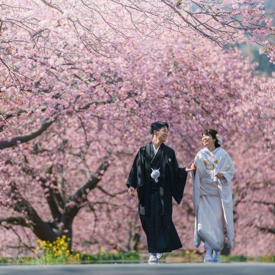 デコルテウエディングフォトグループさんのインスタグラム写真 - (デコルテウエディングフォトグループInstagram)「【春はやっぱり！桜×結婚写真の最強コラボ🌸🌸🌸】  今年も早咲き桜が見頃を迎えました🌸  今日は全国的に少し気温が上がって 場所によっては4月並みの陽気とのこと☀ 本格的に春がやってきますね。  日本のシンボルとも言える桜と撮影できる、 これからの時期は1年の中でも大人気。  今年もご予約枠は残りわずかですが 店舗によってはまだ間に合います！  桜ロケをお考えの方は、お早めに まずは相談会へご参加ください💁  ⁡ぜひ保存して、撮影の参考にしてみてくださいね🔖  ーーーーーーーーーーーーーーーー ⁡ 1, 4枚目 📷木下（トップフォトグラファー）@rei_kinoshita_tvb  2, 5枚目 📷伊藤（スタジオAQUA大宮店）@minoru.deco.ph 💄金森（スタジオAQUA浅草店）@haruka.deco.hm  3枚目 📷関野（スタジオSUNS）@sekino.deco.ph  ーーーーーーーーーーーーーーーー ⁡もっとたくさん写真を見たい方は ⇒#デコルテフォト で検索💡  自分たちに合うウェディングフォトを知りたいなら ⇒ハイライトから公式LINEへ🌟  デコルテの衣装をたくさん見たい方は ⇒ @decollte_wedding⁡ ⁡ デコルテの採用情報は ⇒ @decollte_recruit フォトグラファー・ヘアメイク・プランナー募集中！  ⁡ #撮る結婚式 #撮る結婚式という幸せを #スタジオアクア #スタジオTVB #スタジオエイト #スタジオAN #スタジオsuns #フォトスタジオ #結婚式準備 #前撮り迷子 #桜 #前撮り #前撮りポーズ #桜フォト #花嫁コーデ #写真で結婚式 #2023婚 #白無垢 #前撮りコーデ #ウェディングドレス #結婚写真 #おしゃれ花嫁 #後撮り #ブライダルコーデ #ウェディングフォト #日本中のプレ花嫁さんと繋がりたい #色打掛 #ピンク」2月28日 18時59分 - decollte_weddingphoto