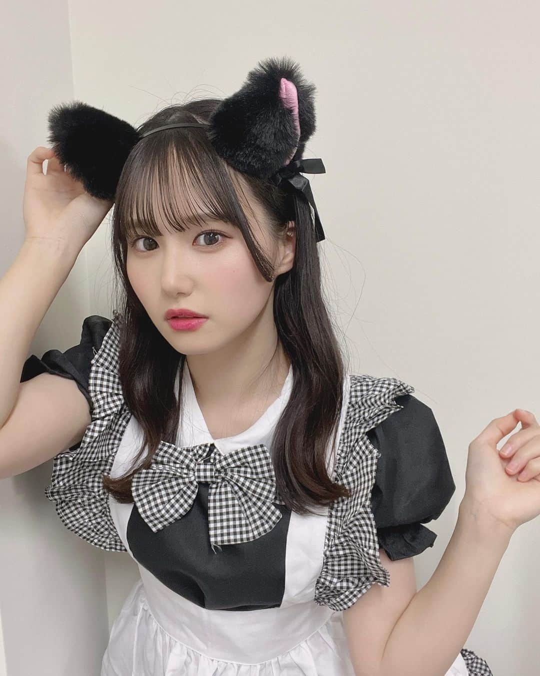 前田彩佳のインスタグラム：「ねこ！   #ねこ  #猫  #コスプレ  #メイド」