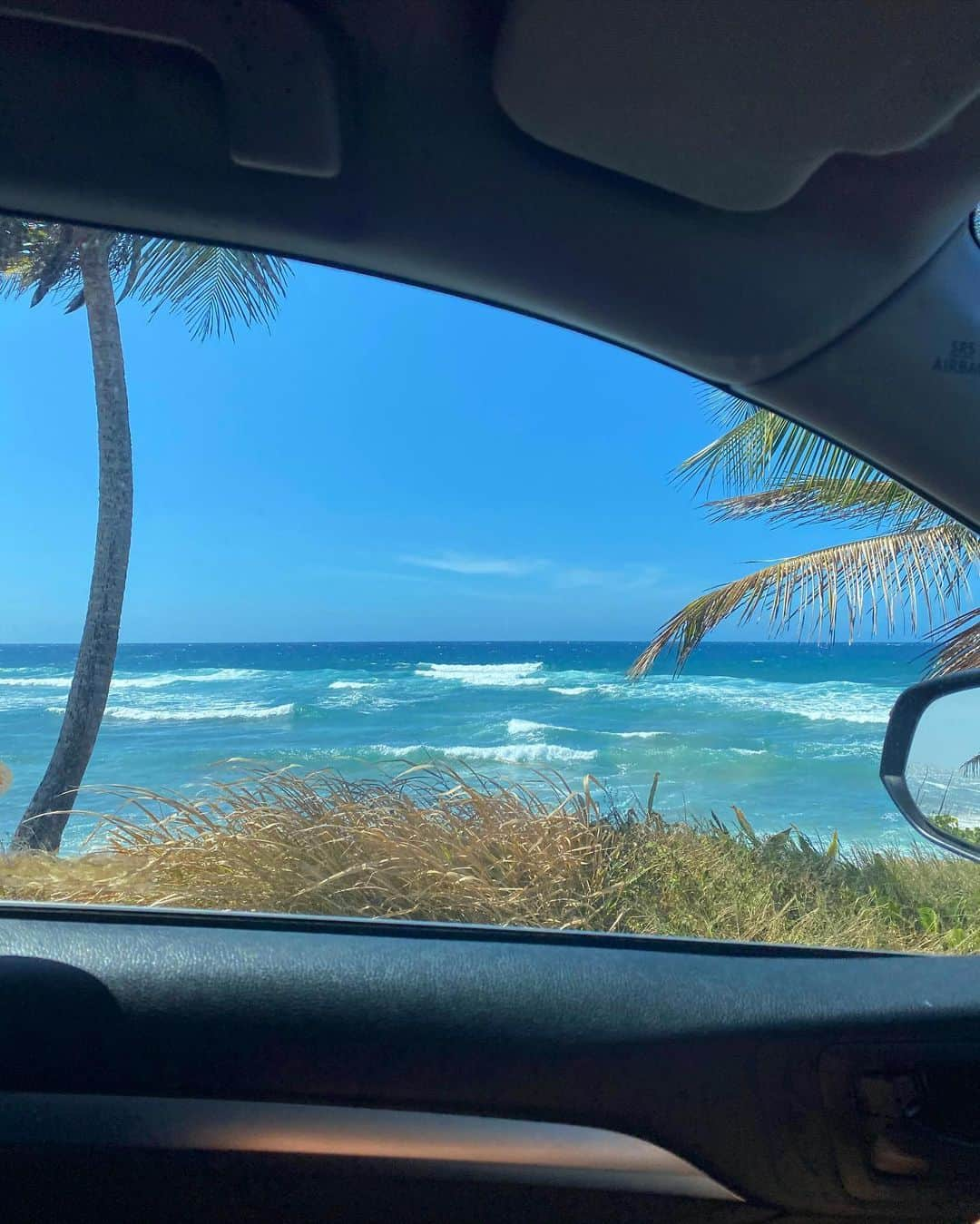 アドリアナ・ディアスのインスタグラム：「extrañando los road trips en mi #toyota 🏝️」