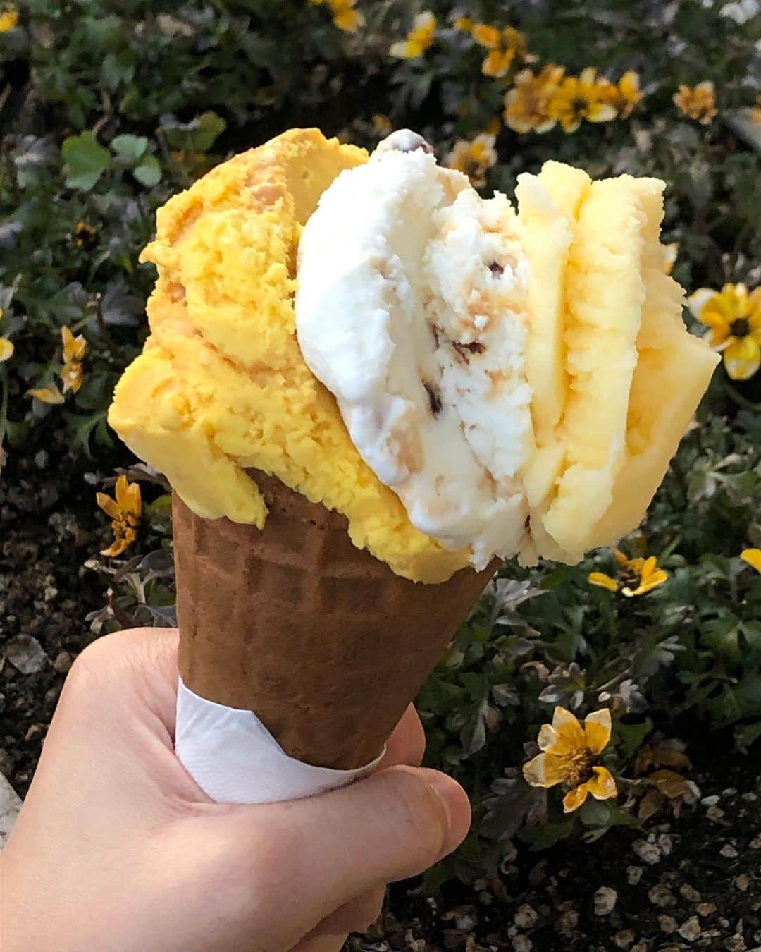 手島実優のグルメインスタ