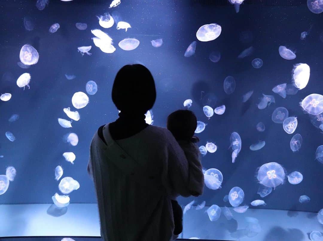 高杉麻里さんのインスタグラム写真 - (高杉麻里Instagram)「2年前と同じ場所で📷💭 ̖́-  息子氏初水族館でした🐧🐠」2月28日 14時10分 - leala.mari20.622