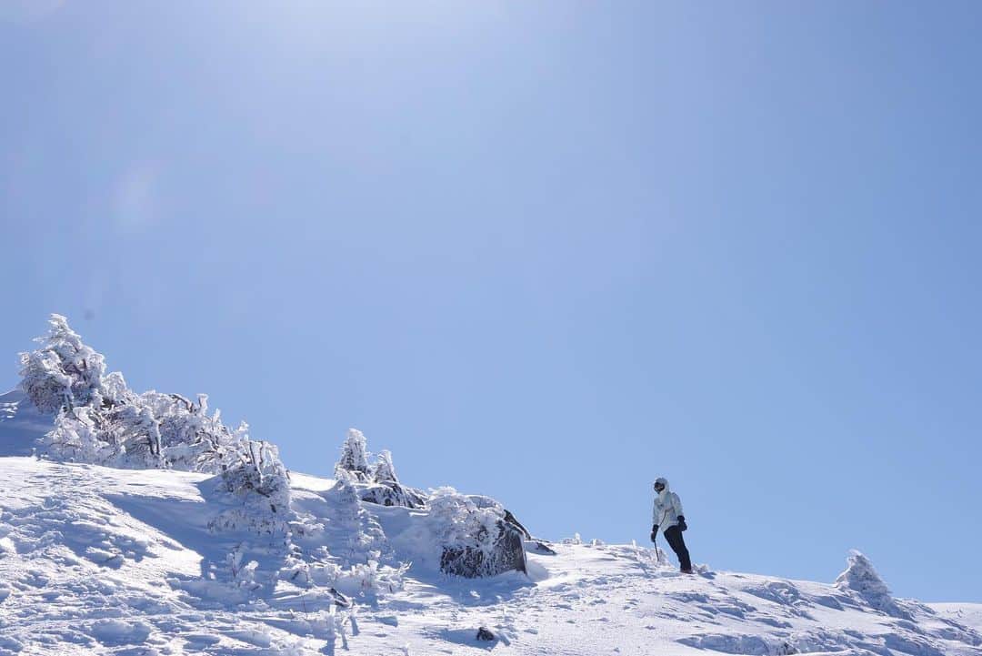 清浦夏実さんのインスタグラム写真 - (清浦夏実Instagram)「2/22厳冬期・東天狗岳。 今季初の雪山。文句なしの晴天。風も強くなく、絶好の登山日和だ。 今回は渋ノ湯登山口から入山。気温はマイナス7度ほど。ザクザク、ギュッギュ、とアイゼンが雪を刺す。人気の山だからか、よく人が通っていて道のコンディションも悪くない。  コースタイム通りに黒百合ヒュッテに到着。トイレも施設もとても綺麗で、人気な理由がよく分かる。ここで少し早い昼食を頂く。名物のビーフシチューは、ゴロッとした具材と深い味わい。テラス席でこれから登る雪山を眺めながら頂き、贅沢な時間を過ごした。  必要のない道具は黒百合ヒュッテにデポ。ハードシェルやバラクラバを装着し、身軽なフル装備で稜線に出た。木々には氷が下がり、ステンドグラスのようだった。雪の白と、空の深い青しか視野に入らない。凍った雪がキラキラと光り、サングラス越しでも照り返しが強かった。  森林限界を超え、急斜面に差し掛かったあたりで少し怖くなった。滑落すれば止まれないだろう。ピッケルを刺しながら慎重に登っていく。アドレナリンが出ているからか、靴擦れを起こしていたが痛くないし、こんなところで止まりたくない。しかし帰りは大丈夫だろうか。進みたい気持ちと、戻った方がいいのか、判断が難しかった。結局のところ、怖いと思った箇所を超えたら特に不安のない道となり、そこからはぐんぐんと進み、無事登頂出来た。  パノラマの雪山の景色、空には雲ひとつなく、宇宙に近い色をしていた。大袈裟に聞こえるかもしれないが、こんな景色を見るために生まれてきたのかもしれない。そう思うくらい美しさに感動した。  西天狗岳にも行きたかったが、恐怖心を省みて、今回は見送り下山することにした。下りはコースタイムの2倍のペースで下山し、何の問題もなかった。経験や、自力が分からない時、時間に余裕を持ちながら慎重に行動して悪いことはないように思う。黒百合ヒュッテには麦草峠方面から入山し、テント泊をしにまた来たい。  温泉で緊張と筋肉をほぐし、馬刺しとそばを食べて帰路に着いた。実に楽しい1日だった。  #登山 #雪山 #トレッキング #八ヶ岳 #東天狗岳 #黒百合ヒュッテ #ビーフシチュー #ハードジェル #houdini #arcteryx #petzl #blackdiamond #trecking #清浦夏実 #TWEEDEES #登山女子 #登山好きな人と繋がりたい #登山飯 #山小屋」2月28日 14時03分 - kiyo_723