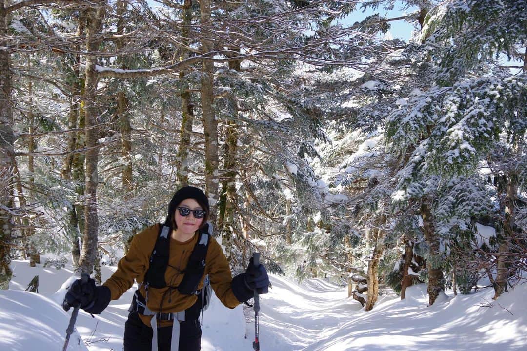 清浦夏実さんのインスタグラム写真 - (清浦夏実Instagram)「2/22厳冬期・東天狗岳。 今季初の雪山。文句なしの晴天。風も強くなく、絶好の登山日和だ。 今回は渋ノ湯登山口から入山。気温はマイナス7度ほど。ザクザク、ギュッギュ、とアイゼンが雪を刺す。人気の山だからか、よく人が通っていて道のコンディションも悪くない。  コースタイム通りに黒百合ヒュッテに到着。トイレも施設もとても綺麗で、人気な理由がよく分かる。ここで少し早い昼食を頂く。名物のビーフシチューは、ゴロッとした具材と深い味わい。テラス席でこれから登る雪山を眺めながら頂き、贅沢な時間を過ごした。  必要のない道具は黒百合ヒュッテにデポ。ハードシェルやバラクラバを装着し、身軽なフル装備で稜線に出た。木々には氷が下がり、ステンドグラスのようだった。雪の白と、空の深い青しか視野に入らない。凍った雪がキラキラと光り、サングラス越しでも照り返しが強かった。  森林限界を超え、急斜面に差し掛かったあたりで少し怖くなった。滑落すれば止まれないだろう。ピッケルを刺しながら慎重に登っていく。アドレナリンが出ているからか、靴擦れを起こしていたが痛くないし、こんなところで止まりたくない。しかし帰りは大丈夫だろうか。進みたい気持ちと、戻った方がいいのか、判断が難しかった。結局のところ、怖いと思った箇所を超えたら特に不安のない道となり、そこからはぐんぐんと進み、無事登頂出来た。  パノラマの雪山の景色、空には雲ひとつなく、宇宙に近い色をしていた。大袈裟に聞こえるかもしれないが、こんな景色を見るために生まれてきたのかもしれない。そう思うくらい美しさに感動した。  西天狗岳にも行きたかったが、恐怖心を省みて、今回は見送り下山することにした。下りはコースタイムの2倍のペースで下山し、何の問題もなかった。経験や、自力が分からない時、時間に余裕を持ちながら慎重に行動して悪いことはないように思う。黒百合ヒュッテには麦草峠方面から入山し、テント泊をしにまた来たい。  温泉で緊張と筋肉をほぐし、馬刺しとそばを食べて帰路に着いた。実に楽しい1日だった。  #登山 #雪山 #トレッキング #八ヶ岳 #東天狗岳 #黒百合ヒュッテ #ビーフシチュー #ハードジェル #houdini #arcteryx #petzl #blackdiamond #trecking #清浦夏実 #TWEEDEES #登山女子 #登山好きな人と繋がりたい #登山飯 #山小屋」2月28日 14時03分 - kiyo_723