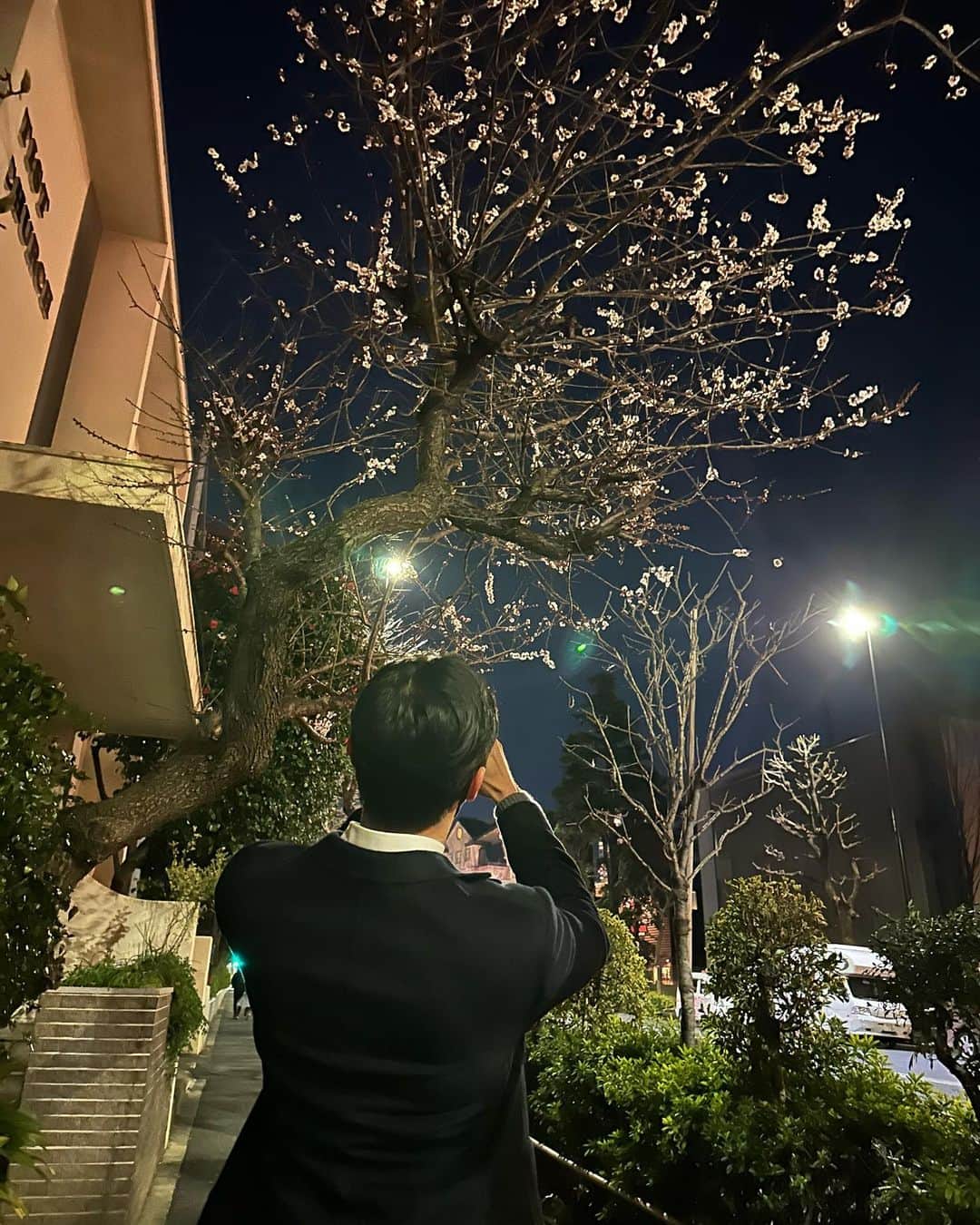 ジニョン さんのインスタグラム写真 - (ジニョン Instagram)「벚꽃이.. #진영 #벚꽃」2月28日 14時16分 - jinyoung0423