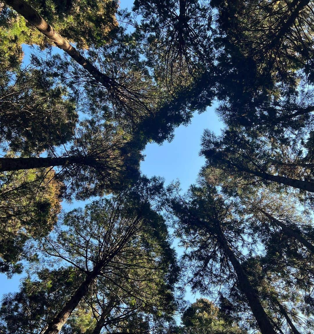 加護亜依さんのインスタグラム写真 - (加護亜依Instagram)「参拝登山❣️御岩神社山頂⛰  山頂まで1時間くらいかな？ 登ったあとの、この絶景⤴️💕 最高でした😆  お天気にも恵まれて 宇宙レベル👽🫶のパワースポットと呼ばれている御岩神社は、神秘的で差し込む光が美しく凛としていて、強い。 また来年も参拝しに来ます🥹  #御岩神社パワースポット  #御岩神社 #参拝登山 #茨城県最高 #他にも教えてね❤️」2月28日 15時50分 - ai.1988kg