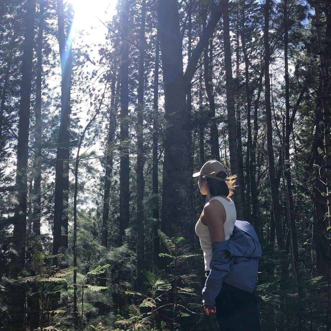 池田ゆりのインスタグラム：「🌳🍃  #hawaii #trailrunning #kuliououridgetrail」
