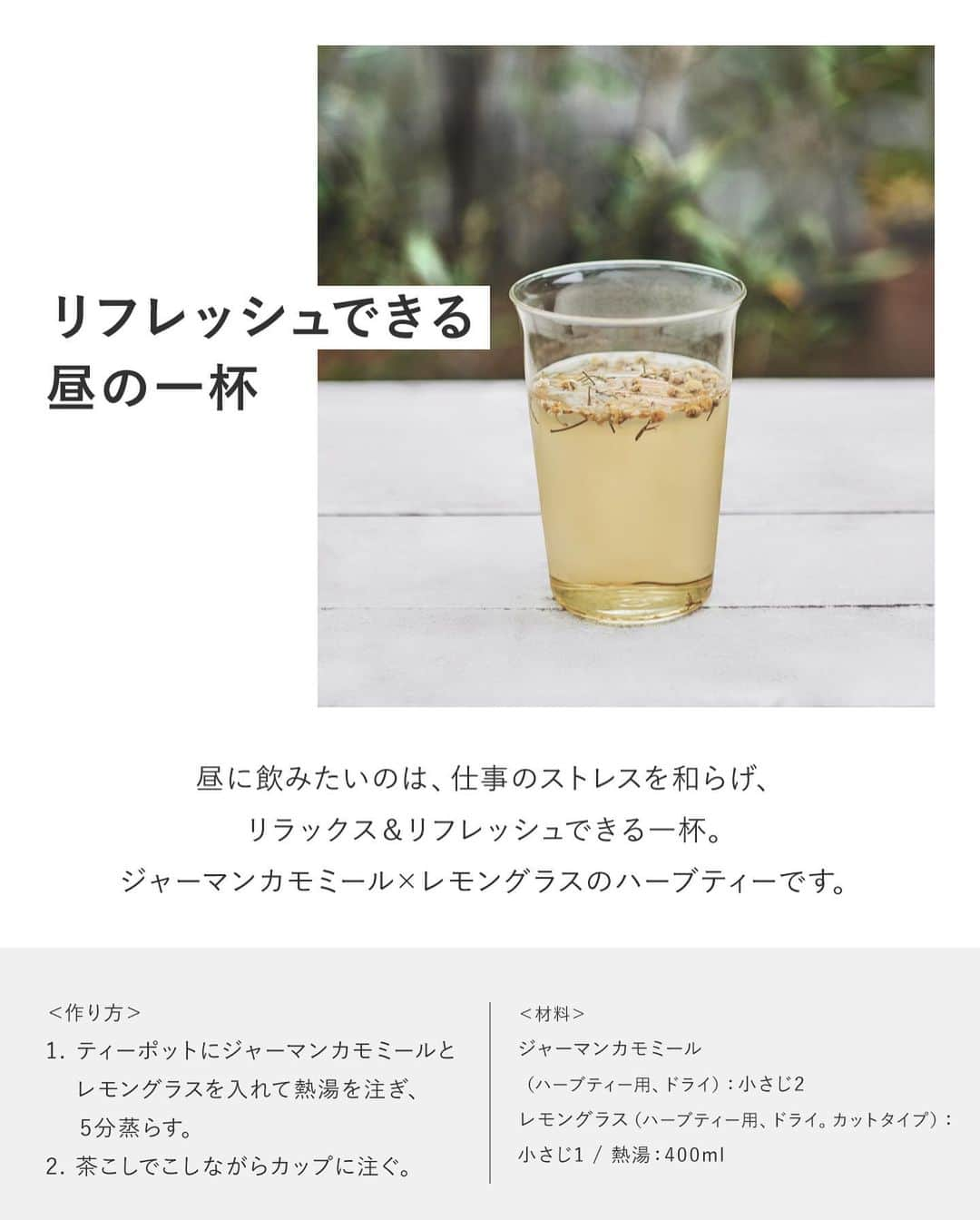 BOTANIST Tokyo（ボタニスト トウキョウ）さんのインスタグラム写真 - (BOTANIST Tokyo（ボタニスト トウキョウ）Instagram)「【気軽にできる、心潤う。ハーブティーを楽しむ1日🍵】 春は1年で最も寒暖差が激しい季節と言われ、気温の変化に対応するため、疲れを感じやすいシーズンです💦 植物の恵みをダイレクトに吸収できる #ハーブティー は、心と身体を整えるのに心強いメソッドになるはず。  今回は、忙しい毎日に取り入れたい。 初心者でも手軽に楽しめるオリジナルハーブティーレシピを、朝・昼・夜のシーン別にご紹介します🌿  ​1日の中で少し手を止め、ハーブティーを淹れる時間を持つことでリフレッシュ気分に。 穏やかな #ボタニカルライフスタイル を送ってみませんか♪  またオフィシャルサイトにて、オリジナル #KINTO タンブラーのプレゼントキャンペーン実施中✨ 持ち歩きにもぴったりなボトルは要チェックです。  商品詳細は、プロフィールURL、またはハイライト「NEWS」リンク先から飛ぶことができます💡  #植物と共に生きる #BOTANIST #ボタニスト #botanicalbeauty」2月28日 17時10分 - botanist_tokyo