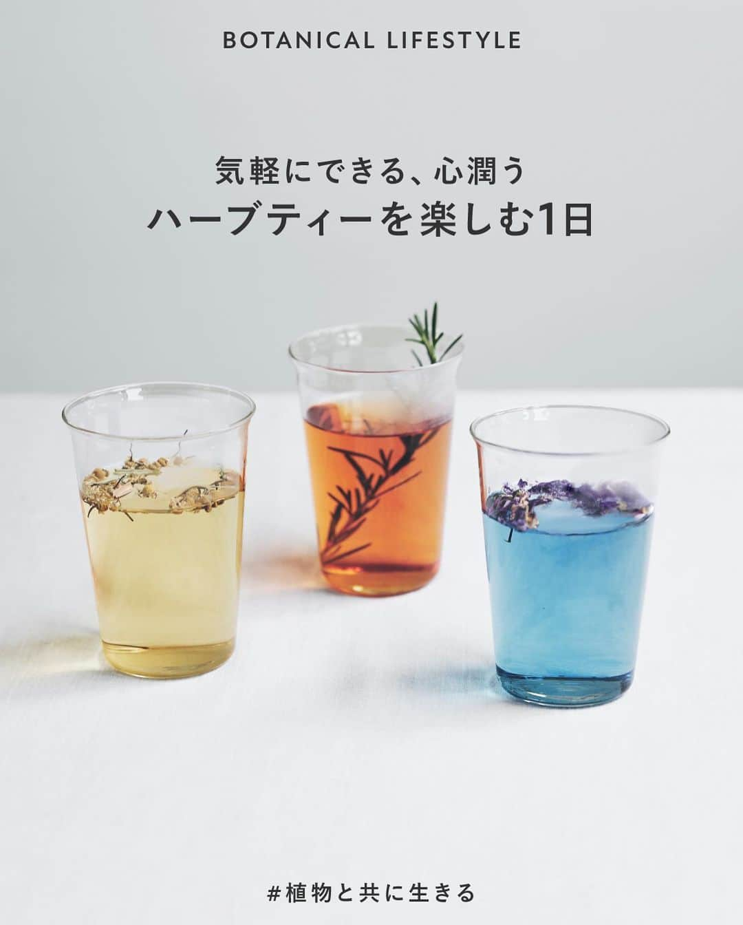 BOTANIST Tokyo（ボタニスト トウキョウ）さんのインスタグラム写真 - (BOTANIST Tokyo（ボタニスト トウキョウ）Instagram)「【気軽にできる、心潤う。ハーブティーを楽しむ1日🍵】 春は1年で最も寒暖差が激しい季節と言われ、気温の変化に対応するため、疲れを感じやすいシーズンです💦 植物の恵みをダイレクトに吸収できる #ハーブティー は、心と身体を整えるのに心強いメソッドになるはず。  今回は、忙しい毎日に取り入れたい。 初心者でも手軽に楽しめるオリジナルハーブティーレシピを、朝・昼・夜のシーン別にご紹介します🌿  ​1日の中で少し手を止め、ハーブティーを淹れる時間を持つことでリフレッシュ気分に。 穏やかな #ボタニカルライフスタイル を送ってみませんか♪  またオフィシャルサイトにて、オリジナル #KINTO タンブラーのプレゼントキャンペーン実施中✨ 持ち歩きにもぴったりなボトルは要チェックです。  商品詳細は、プロフィールURL、またはハイライト「NEWS」リンク先から飛ぶことができます💡  #植物と共に生きる #BOTANIST #ボタニスト #botanicalbeauty」2月28日 17時10分 - botanist_tokyo