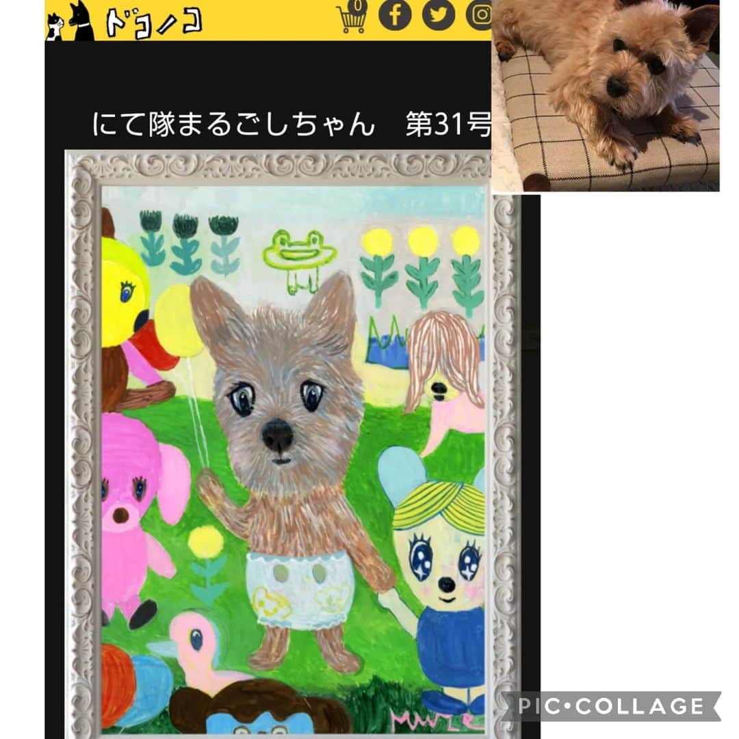 タンゲクンのインスタグラム：「にて隊まるごしちゃん 今日第３弾がはじまりました ドコノコかな？  たくさんの友だちに囲まれる気分はどう？ウゥ茶ちゃん  最後の一枚は昨日の旬太郎♨ #ドコノコ #ほぼ日 #にて隊 #にて隊まるごしちゃん」