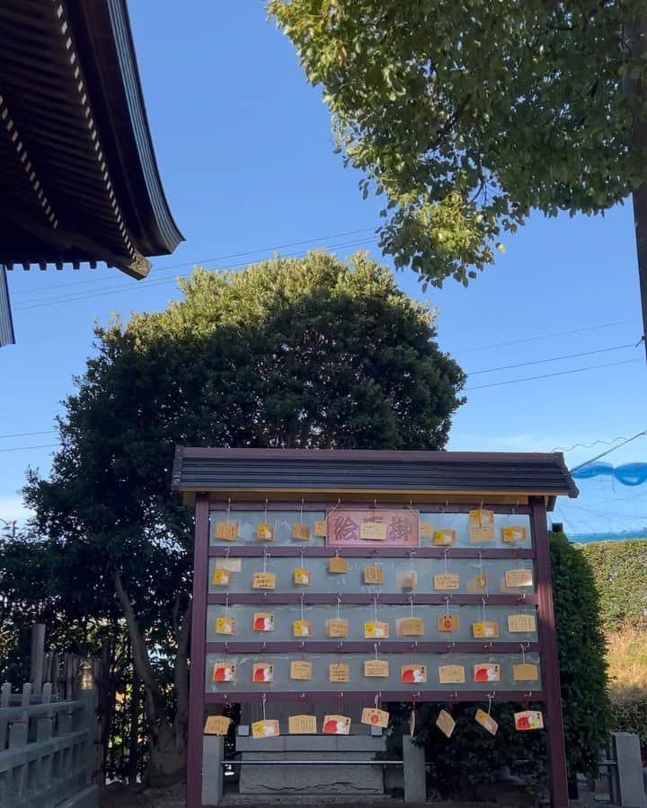 堀田ゆい夏のインスタグラム：「誰もいない神社。 カラカラなる絵馬の音と、風で木が揺れる音が...🌱🫧🕊️  何かがいそうな気配でいい感じでした☺️  #癒される場所  #神社 #最高な時間」