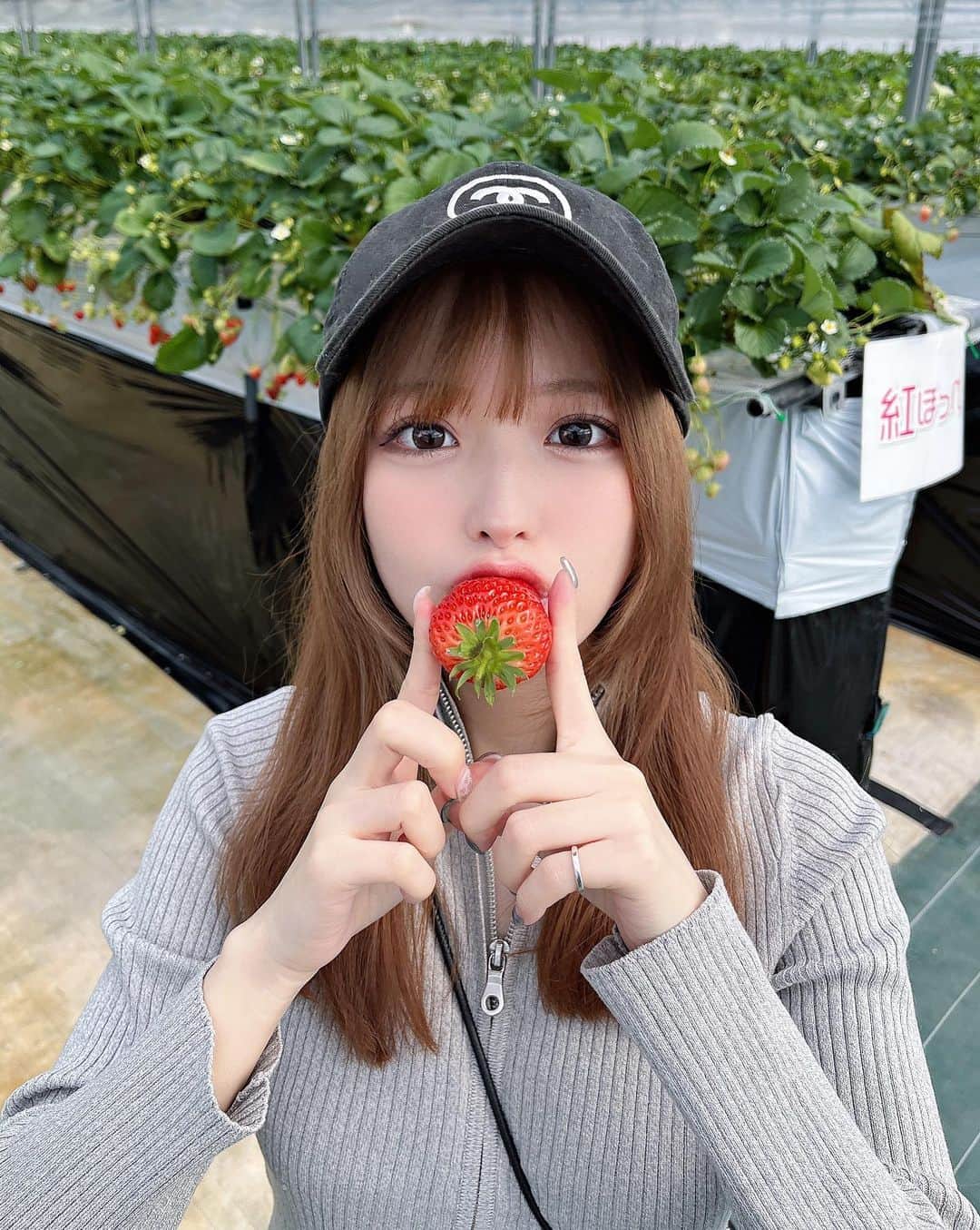 sarimaru(国木田さりまる)のインスタグラム：「ここ数年ずっと行きたくてやっと行けたっ いちご狩り🍓🫶🏻」