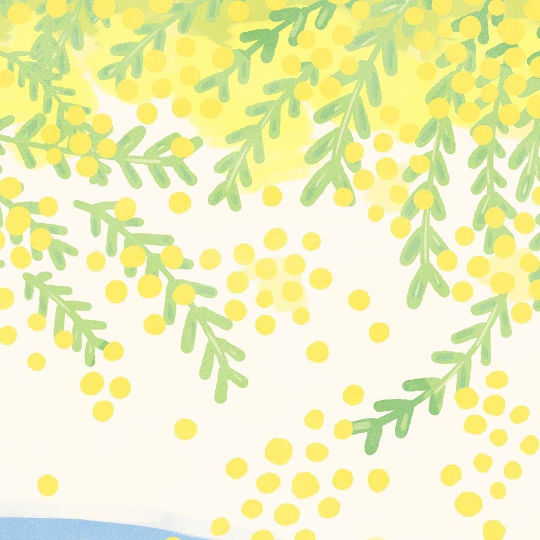 カナヘイのインスタグラム：「ミモザの包む丘 □□■ □□□  #3月壁紙 #ミモザ #mimosa #Illustration #making #タイムラプス #メイキング #kanahei #卡娜赫拉 #卡娜赫拉的小動物 #カナヘイの小動物」