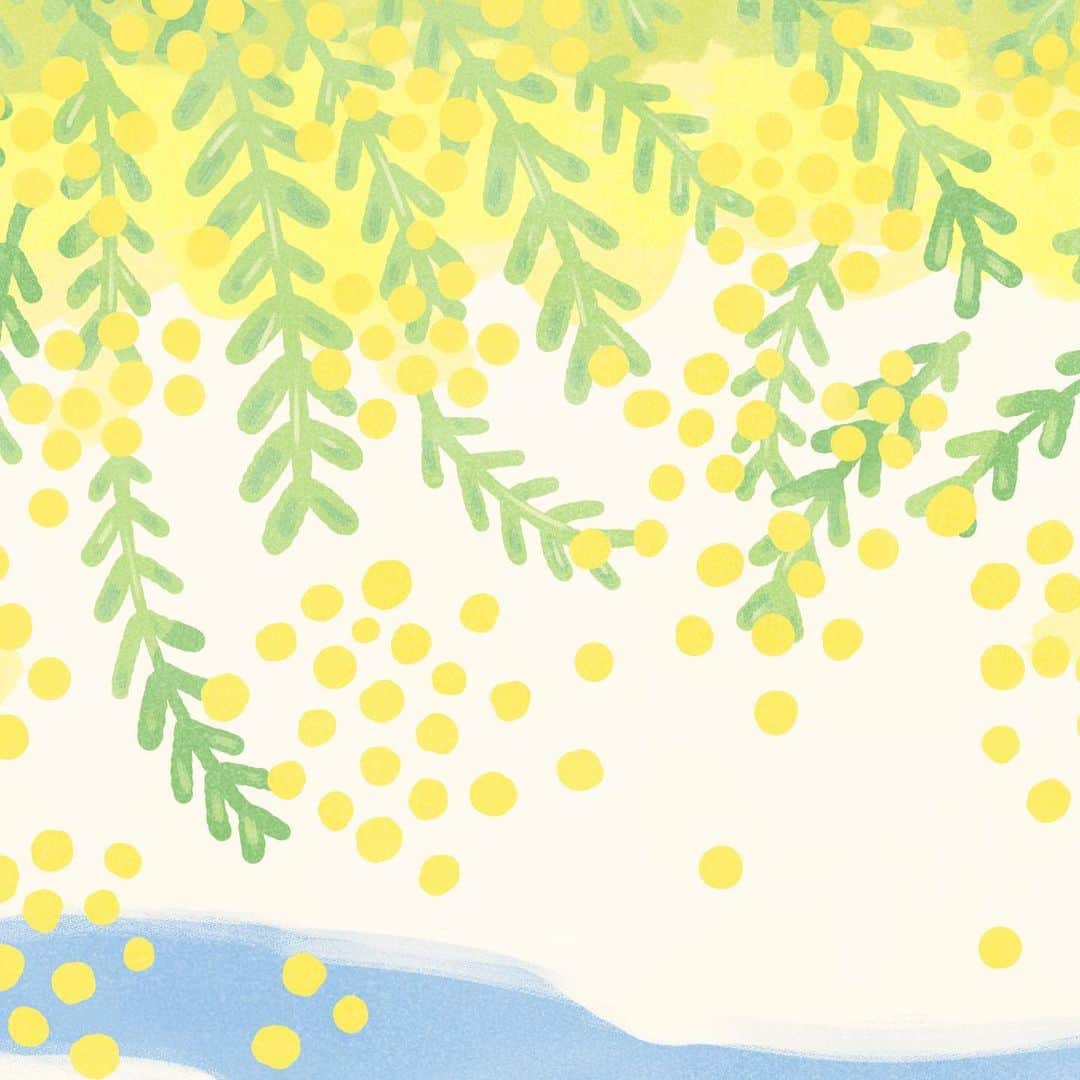 カナヘイのインスタグラム：「ミモザの包む丘 ■□□ □□□  #3月壁紙 #ミモザ #mimosa #Illustration #making #タイムラプス #メイキング #kanahei #卡娜赫拉 #卡娜赫拉的小動物 #カナヘイの小動物」