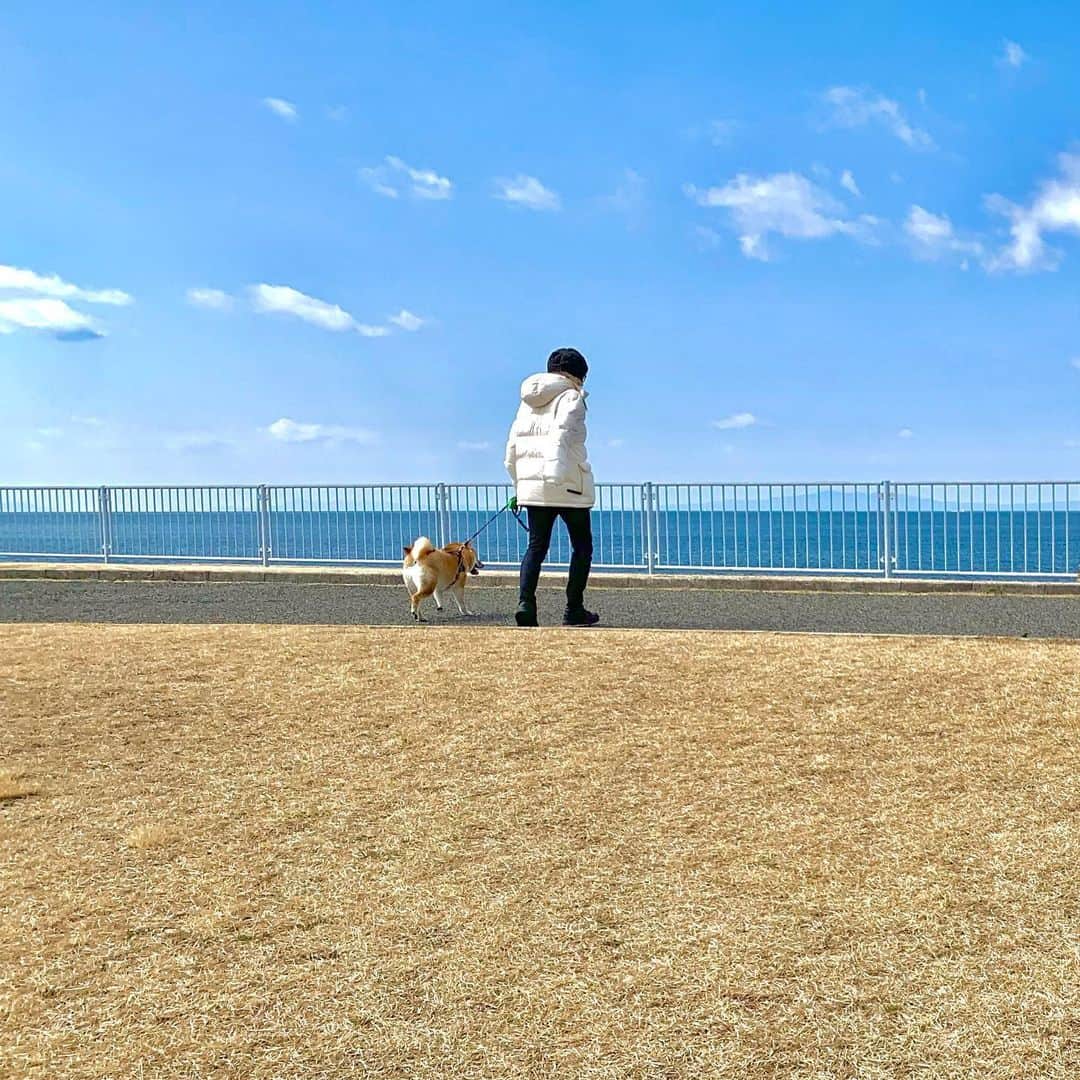 和風総分家さんのインスタグラム写真 - (和風総分家Instagram)「初！主人&コマちゃんショット🫶  海に散歩してきました♪♪♪ 今日で2月納めです🫅 3月もたくさん可愛いコマちゃんを 見せます♪♪  #こまちゃん  #和風総分家  #柴犬  #柴犬のいる暮らし」2月28日 20時37分 - sibabunke