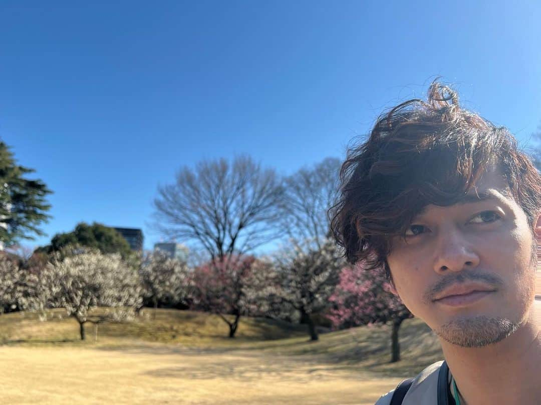 川島ケイジのインスタグラム：「今日は良いお天気だった🌞  紅梅の後を追いかけ 白梅も咲き誇ろうとしている  芳醇な香りに包まれて 春の訪れを感じた」