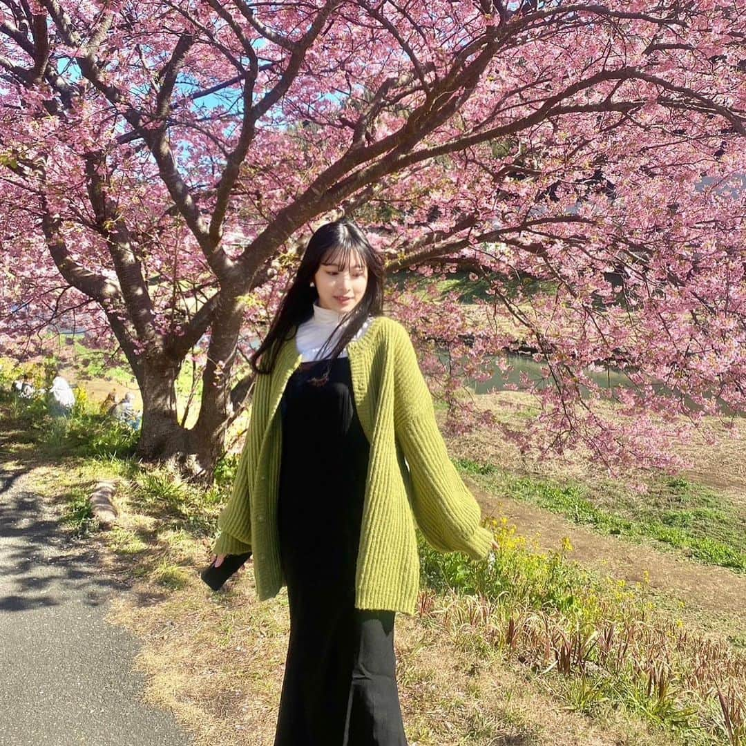 栗田桃花さんのインスタグラム写真 - (栗田桃花Instagram)「南伊豆の桜を見に行ってきました🌸  とっても鮮やかな少し濃いめのピンクで、満開びっしり(*ˊᵕˋ*)ため息が出ちゃうくらい綺麗で春の幸せを感じてきました……！  #みなみの桜と菜の花まつり」2月28日 21時54分 - kurimomo330