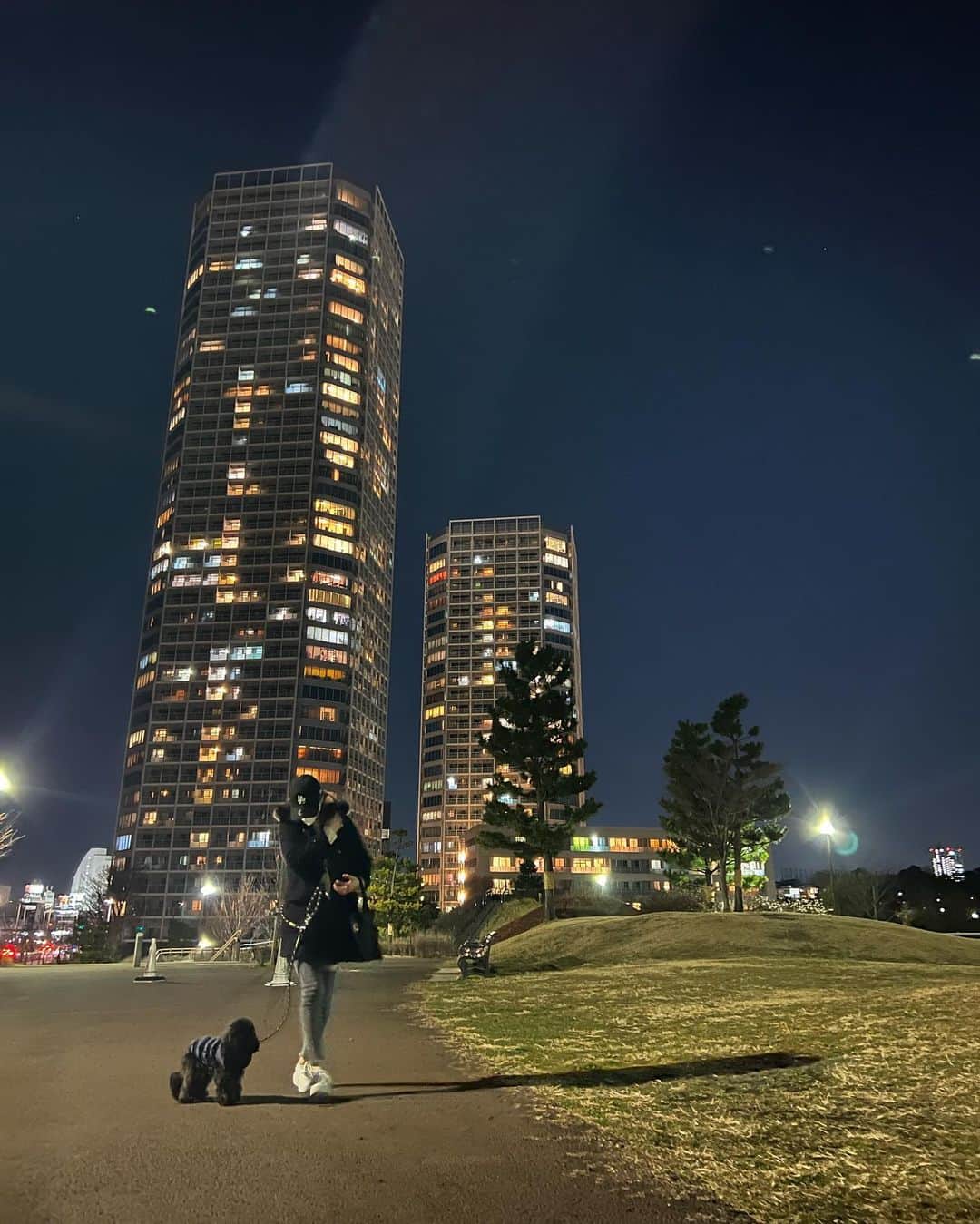 神部美咲のインスタグラム：「よる散歩🖤  みみちゃん階段クリア できました🥰🥰  #愛犬」
