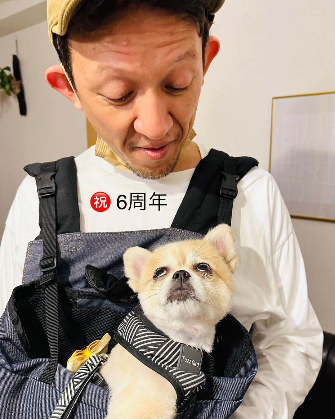 院長ヨモギダのインスタグラム：「2023.03.01.(水) 🎉 この3月で 渋谷スポンジは、 ㊗️6周年を迎えました‼️ . たくさんのリピーターのお客様に支えられ🙇‍♂️🙇‍♀️ありがとうございます‼️ . . 当院は他にはない 【即効性】と【持続性】  これまでの 美容鍼、鍼灸治療の概念が変わります。 . 新規の方も是非お待ちしています☺️ . .  そして㊗️6周年イベント 3月ご来院の方に 日頃の感謝の気持ちを込めて 全施術にその場で使える金券が当たるスピードくじ！やプチギフト🎁のプレゼントイベントを開催中✨ . . ⚠️3月のご予約可能枠が、 残り極わずか数名様になっております。 ※キャンセルが出た場合ストーリーでお知らせ致します。 . . 4月のご予約も始まっております。 お早めにご予約をお願い致します . . .  📍ご予約の際のお願い📍 ⚠️ご予約の変更などは 【ご予約日の2日前の16時までに   必ずお電話で】お願い致します。 . ⚠️DM、メール連絡は重複を防ぐ為お受けしておりません。 又、18時以降や営業時間外、休業日も対応できません。 何卒よろしくお願い致します。 . 🐕 🐕 🐕 .  #渋谷スポンジ  #美容鍼 #鍼灸 #マッサージ  #痩身 #ヘッドスパ #筋膜リリース 東京都渋谷区松濤1-28-6 麻生ビル2F☏‭0367127598‬ 定休日🌱木曜日 🌸ご予約はHP又はお電話(18時迄) ‭www.shibuya-sponge.com‬ . .  🐕✨1ヶ月以内リピート常時500円OFF❗ 🐕✨初回の方にプチギフト進呈🎁 🐕✨Instagramフォロワー様に美容シートパックプレゼント🎁 . . . #美容鍼灸 #小顔矯正 #ツヤ肌 #シミ改善 #顔のくすみ #ダイエット鍼 #腰痛 #肩こり #むくみ解消 #フェイスライン #顔のたるみ #アンチエイジング  #リフトアップ効果 #偏頭痛  #骨盤調整 #姿勢改善 #猫背 #巻き肩 #アトピー性皮膚炎 #マスク肌荒れ #スマホ首 #目の下のクマ」